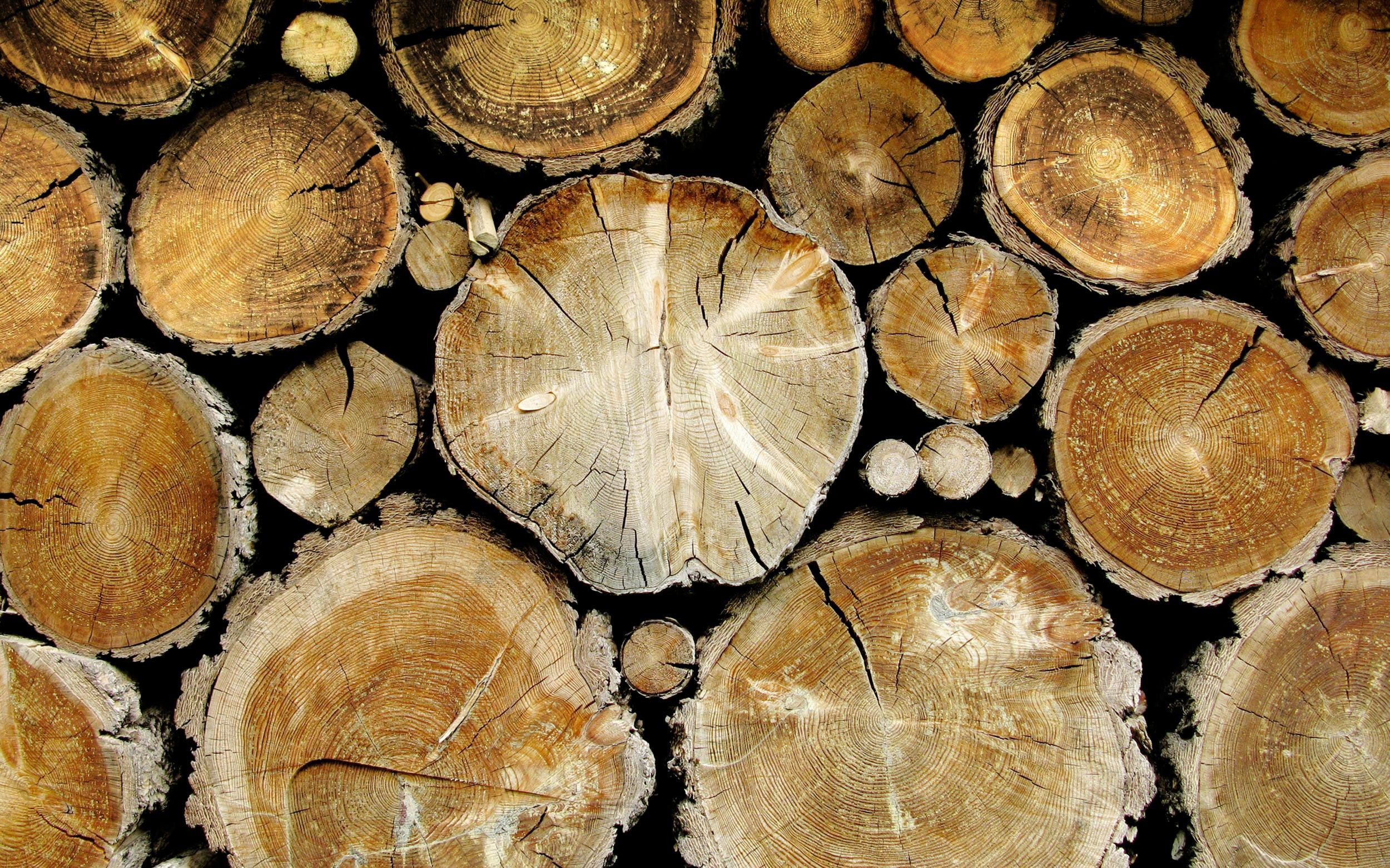 wood, log, trees, brown