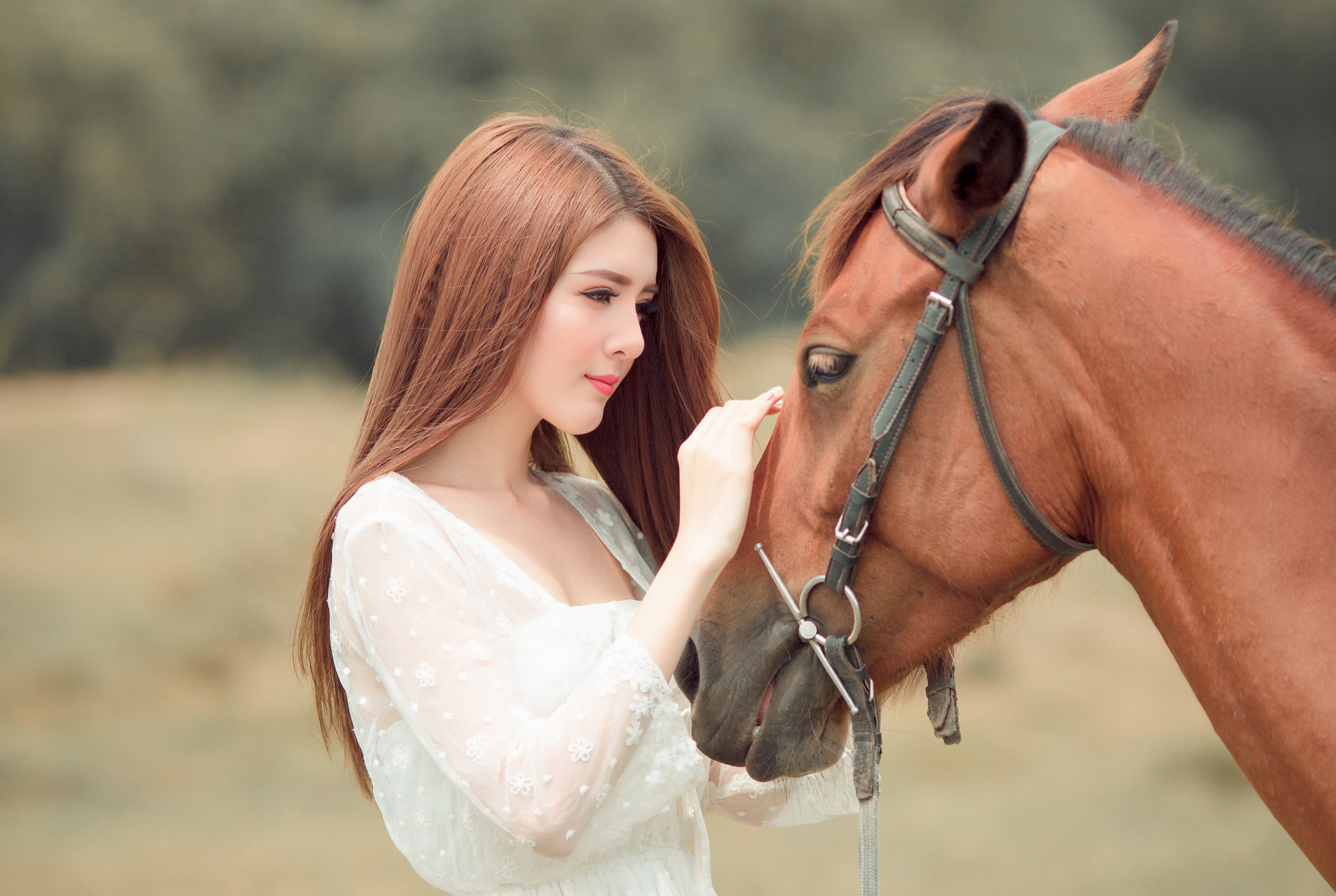 look, face, girl, nature, background, each, horse, sweetheart