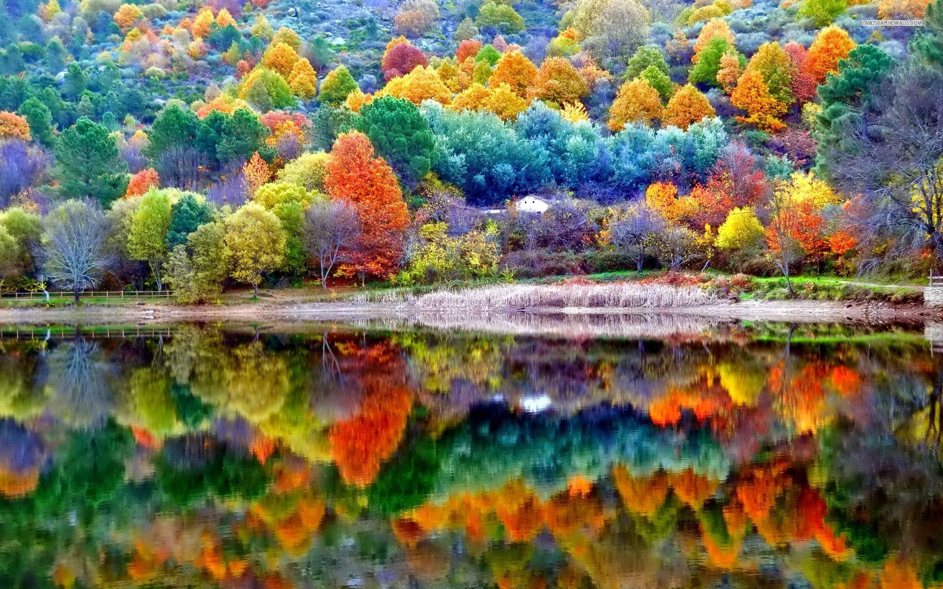autumn widescreen computer