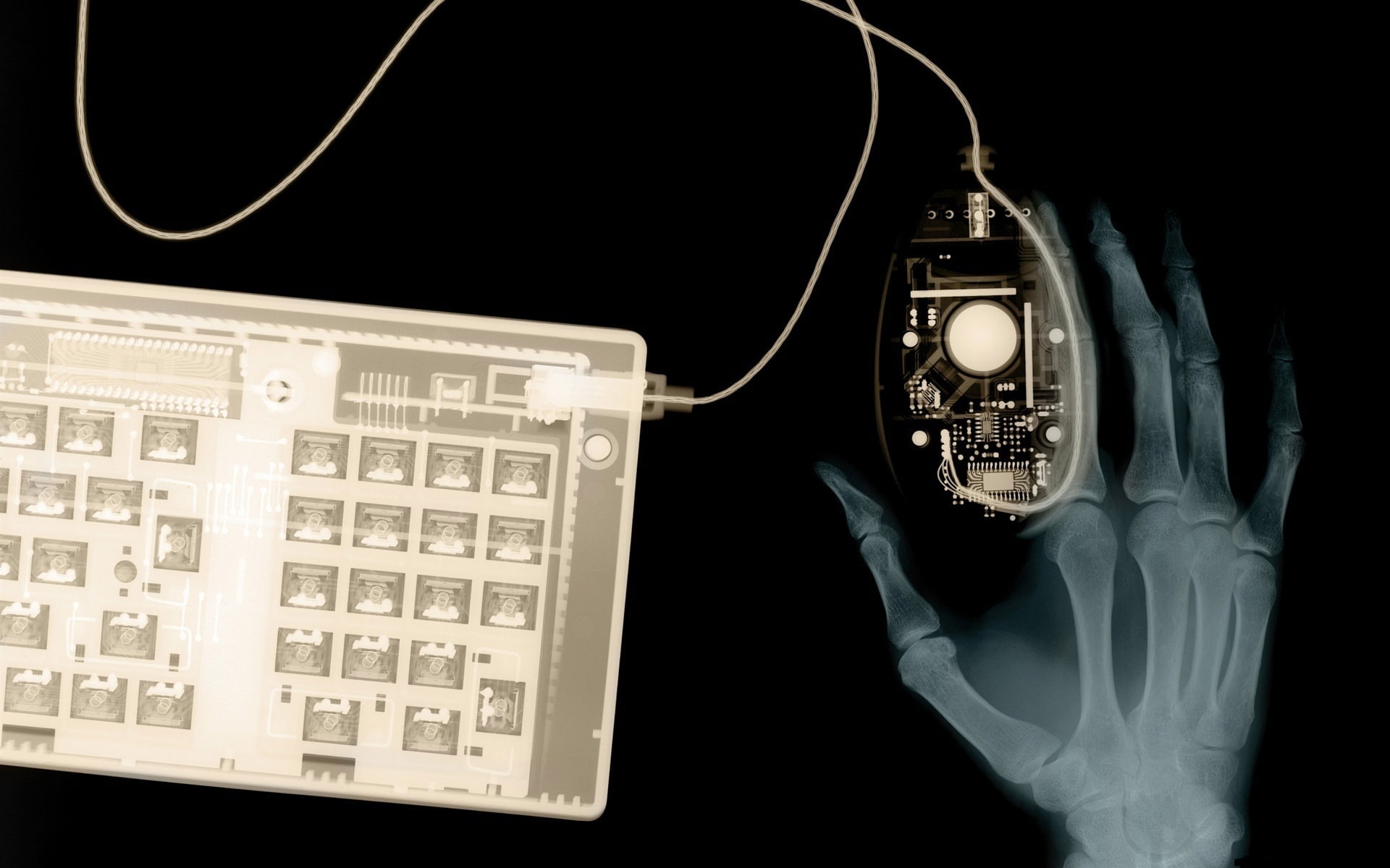 Mouse, Hand, Notebook