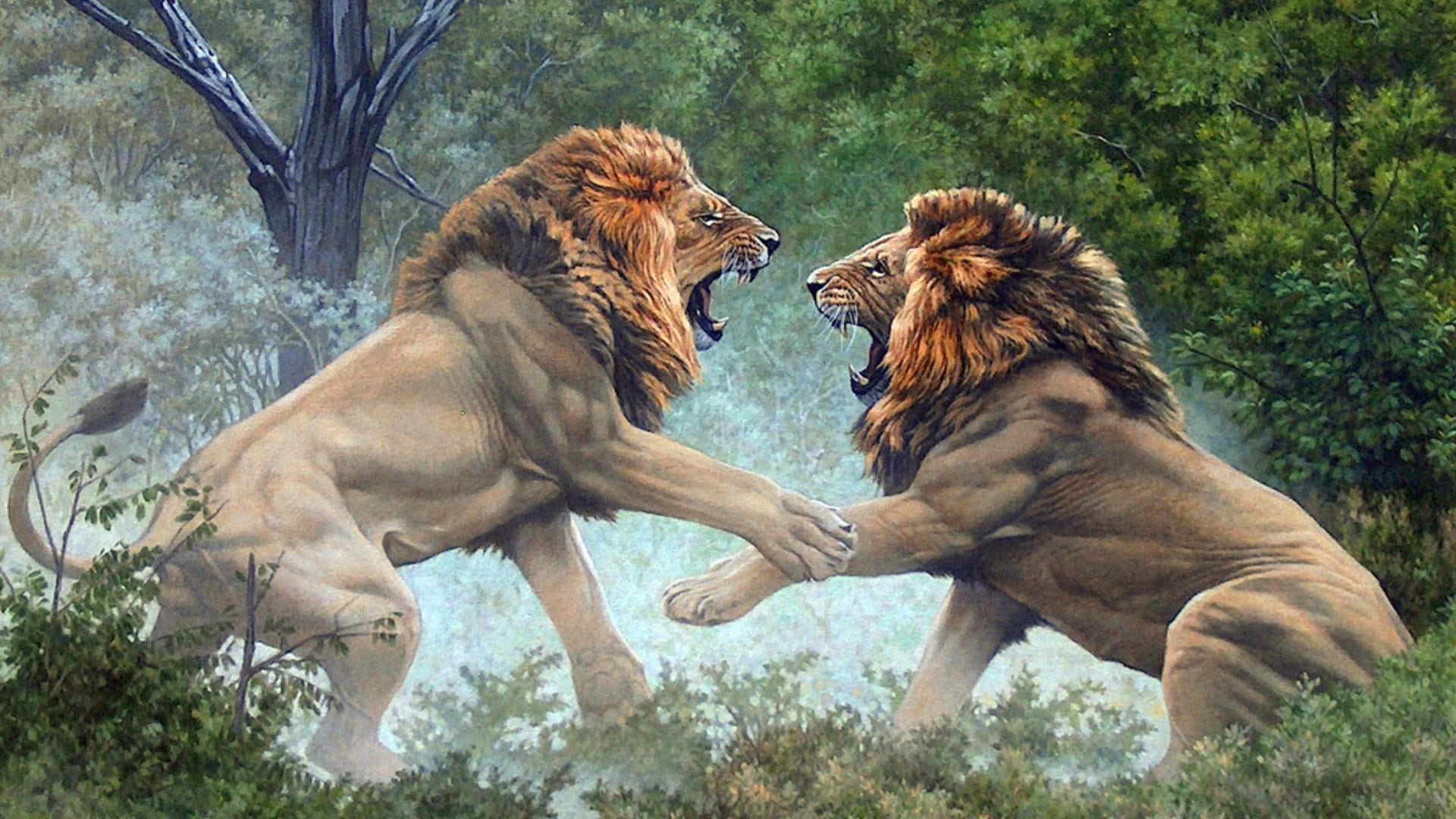 lions, fight, artistic, artwork, animal, mammal, animal themes