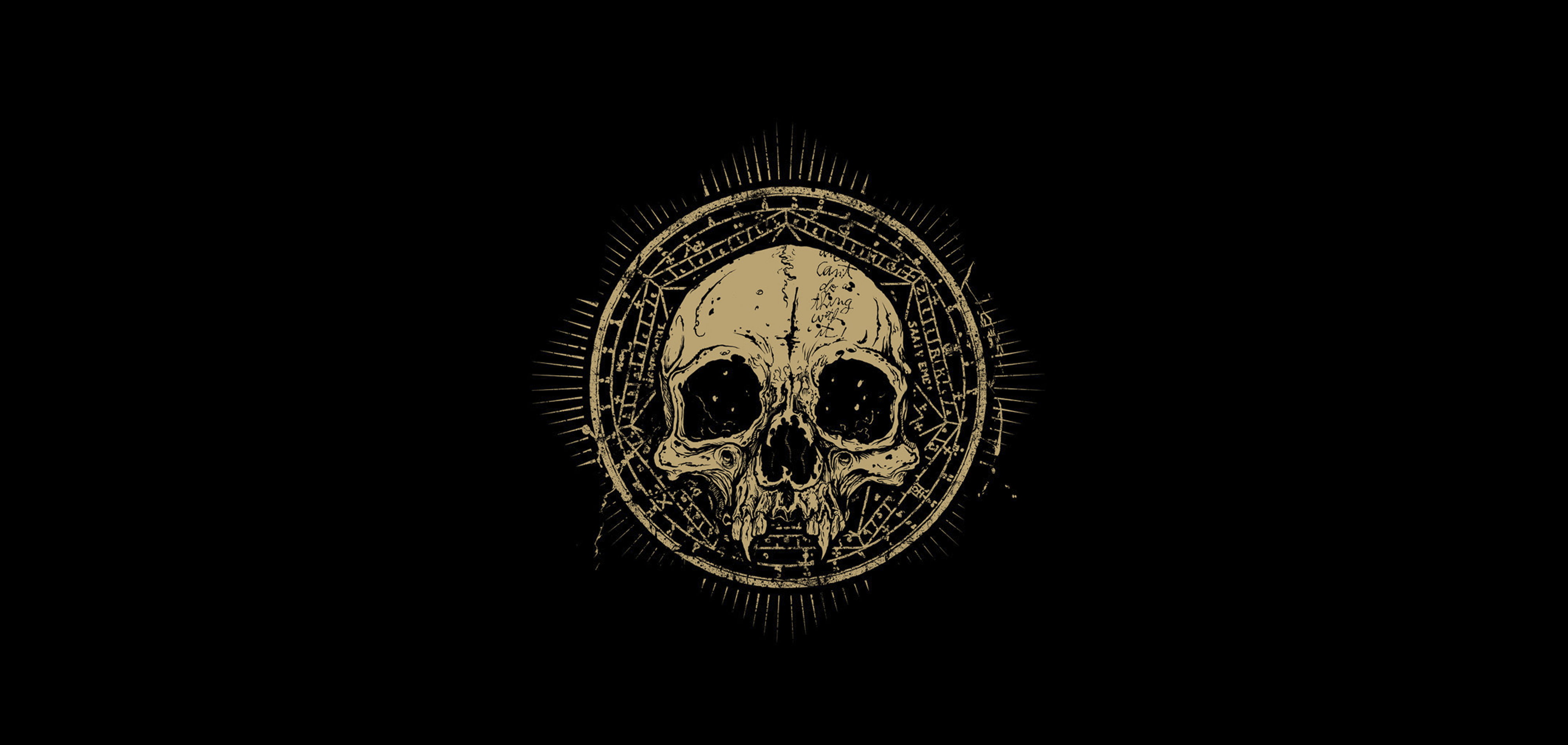 brown and black skull digital wallpaper, the darkness, round