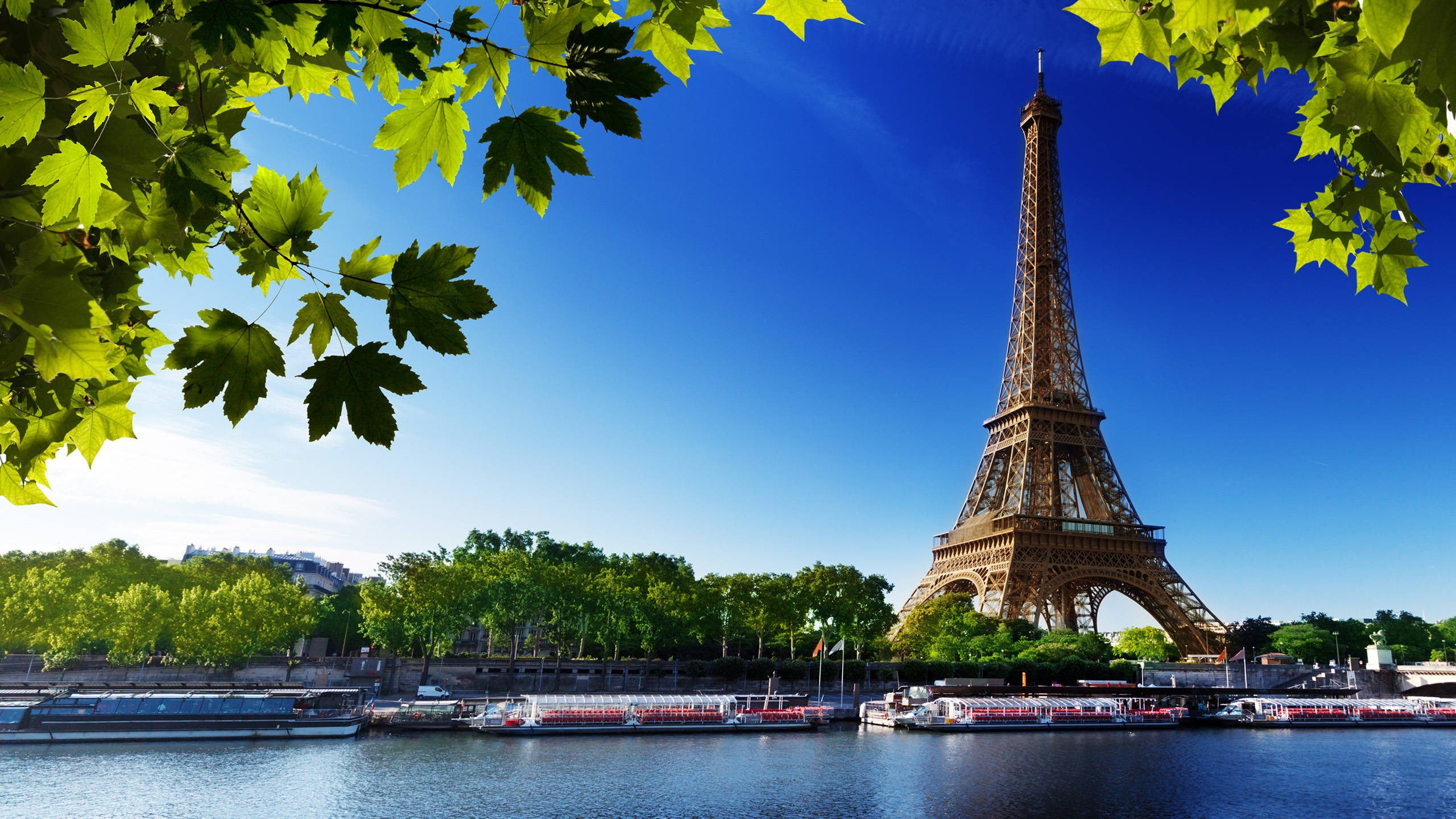 Eiffel Tower, Paris, France, water, tree, plant, nautical vessel