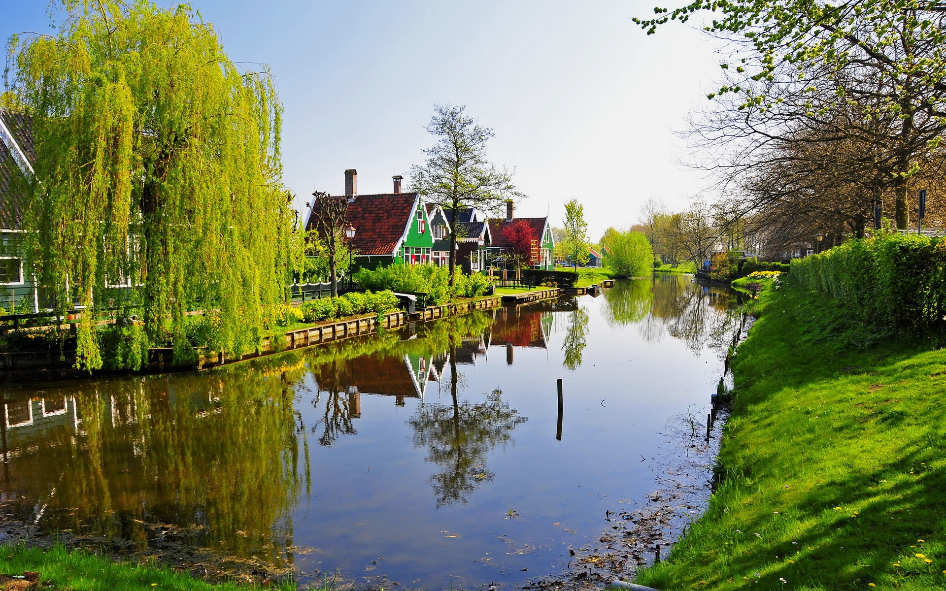Netherlands Zaandam, green grass field and body of water