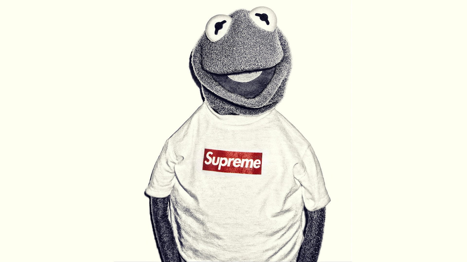 Products, Supreme, Kermit the Frog, Supreme (Brand), one person