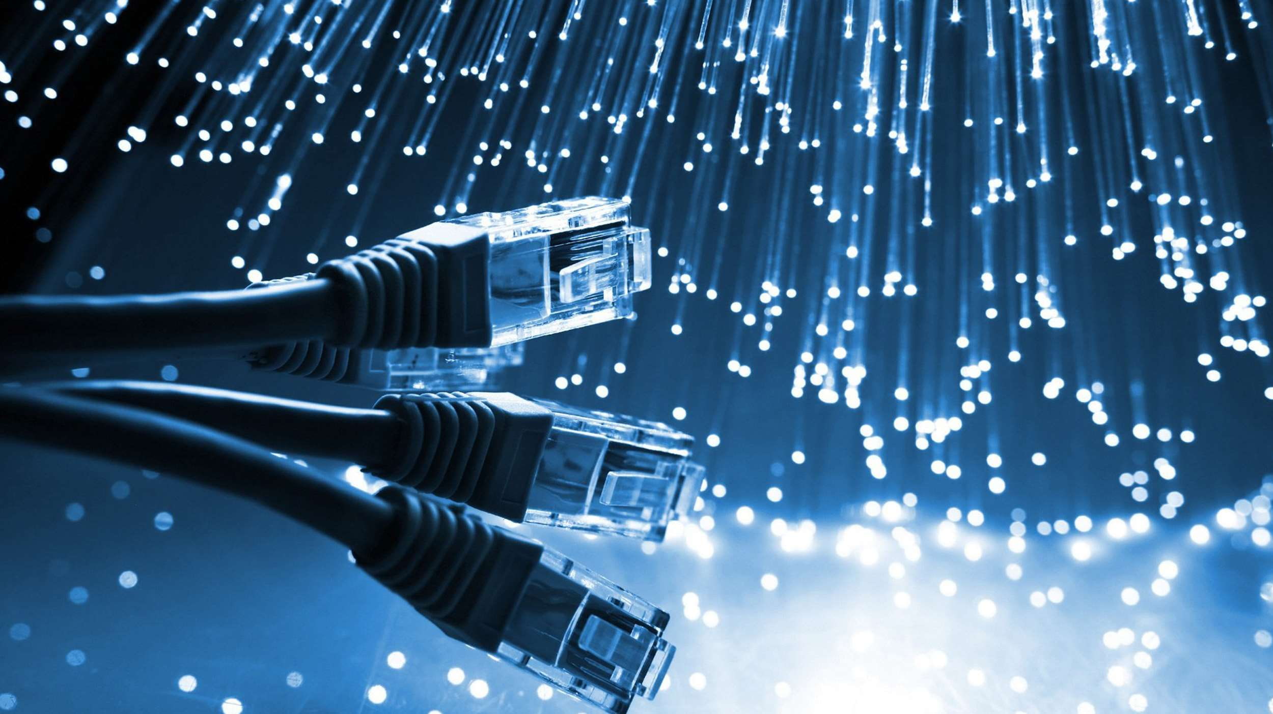 asdsadasdasd, internet, technology, computer network, wireless technology