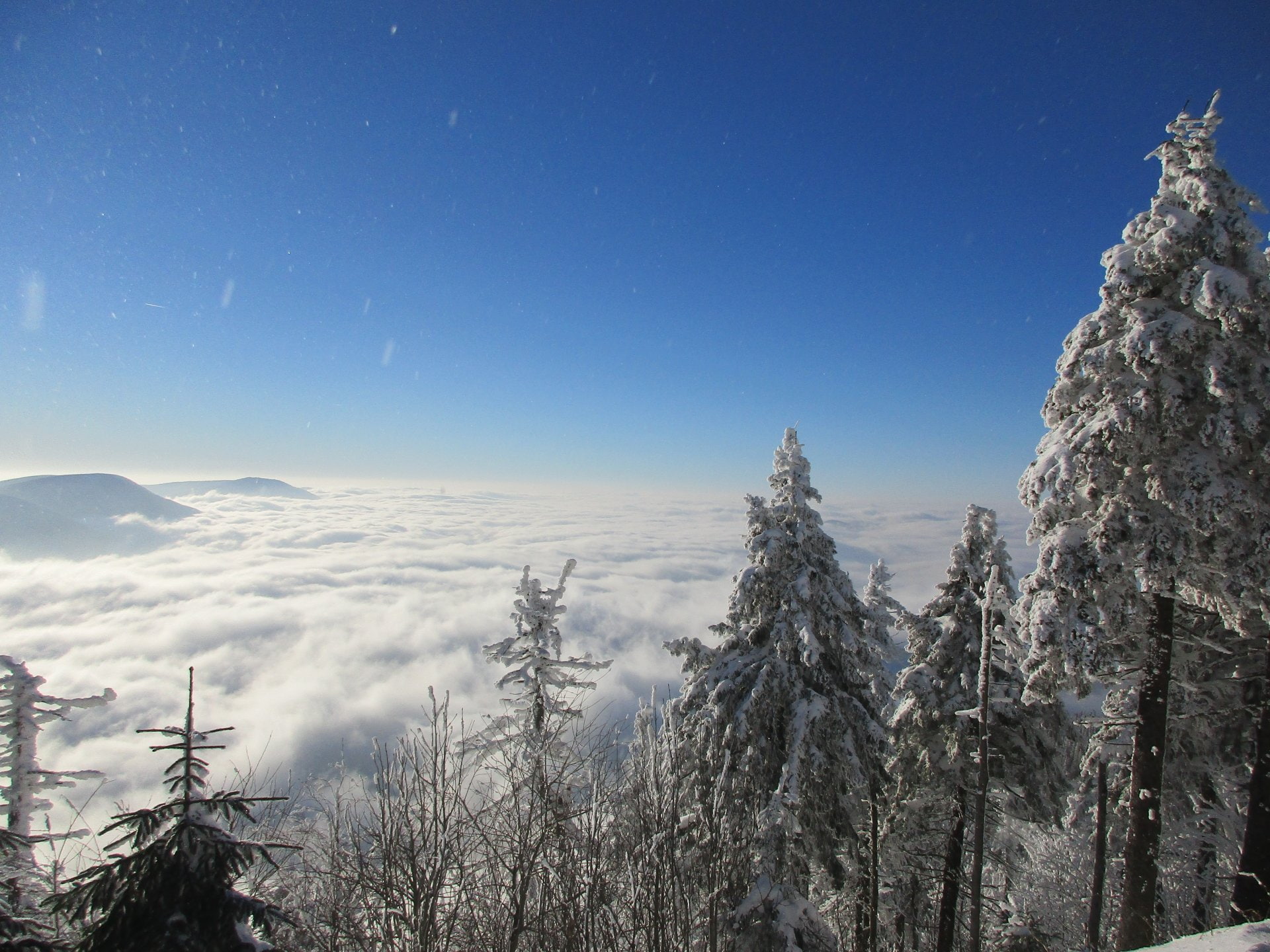 Earth, Winter, Cloud, Landscape, Snow, Tree