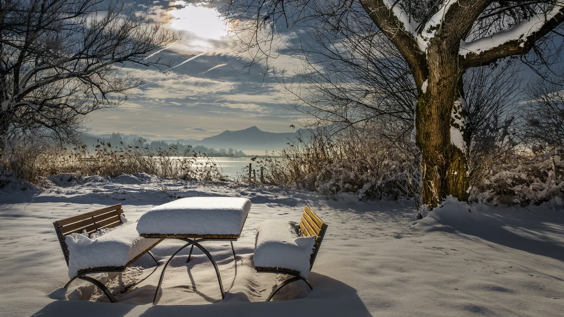 snow, winter, water, tree, freezing, sky, bench, frost, benches