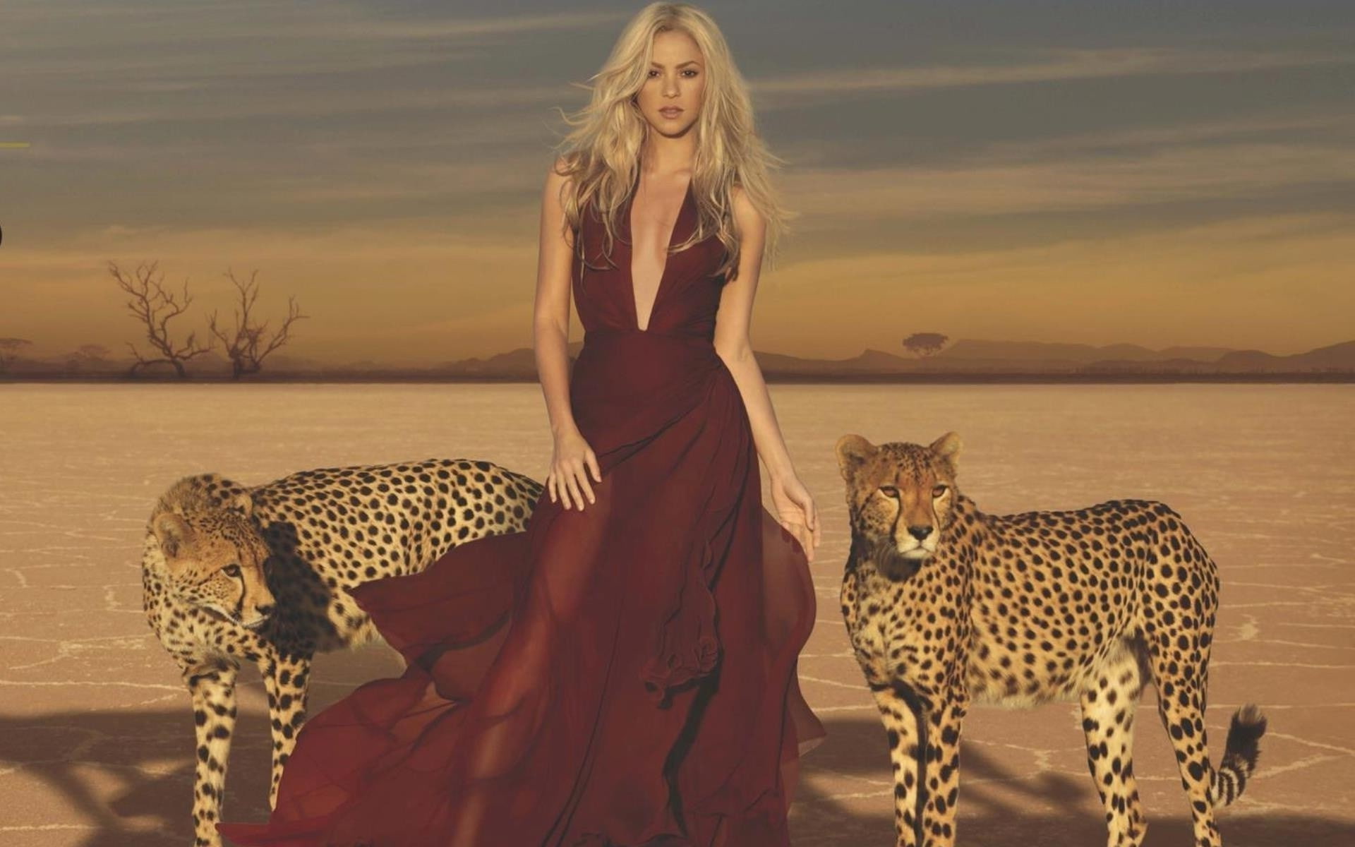Desert, leopard, Shakira, singer