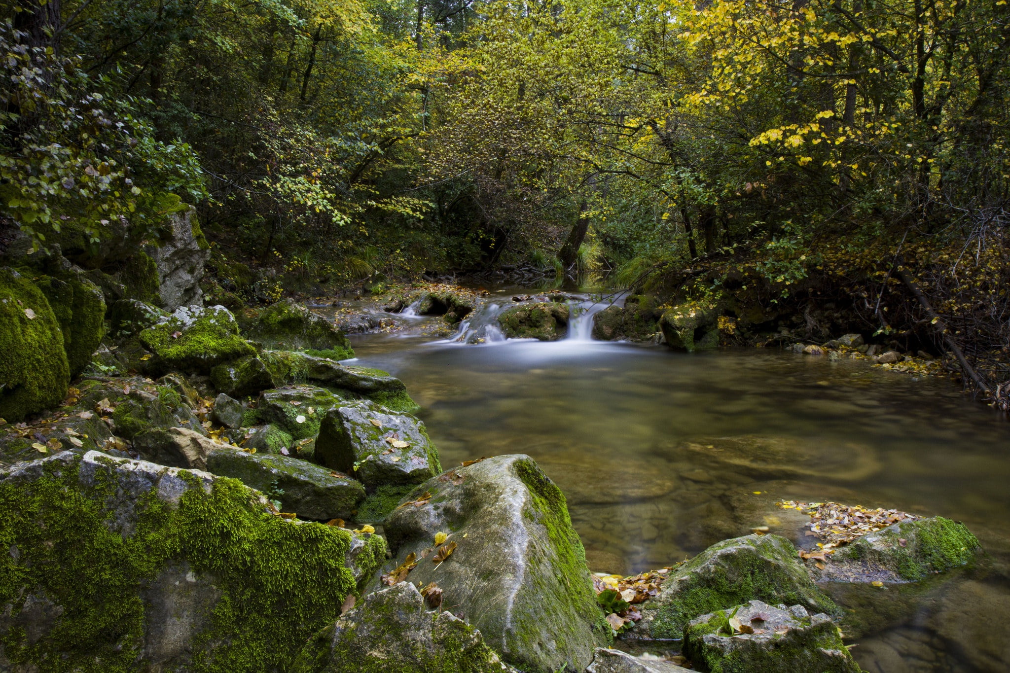 autumn, forest, trees, river, stones, France, Turf, Caramy Gorge