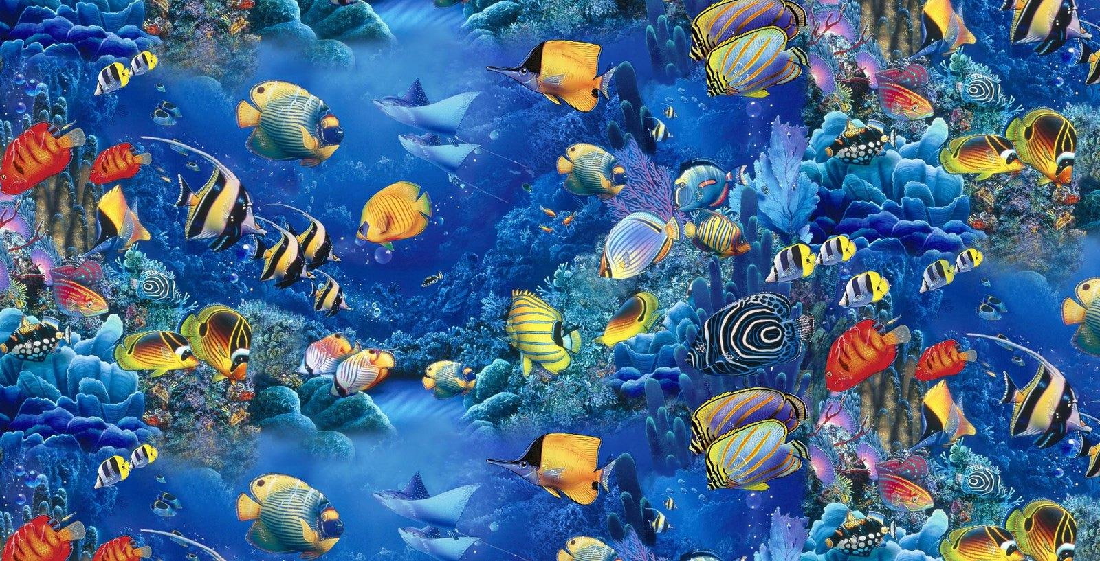 Aquarium Fishes, paintings, underwater