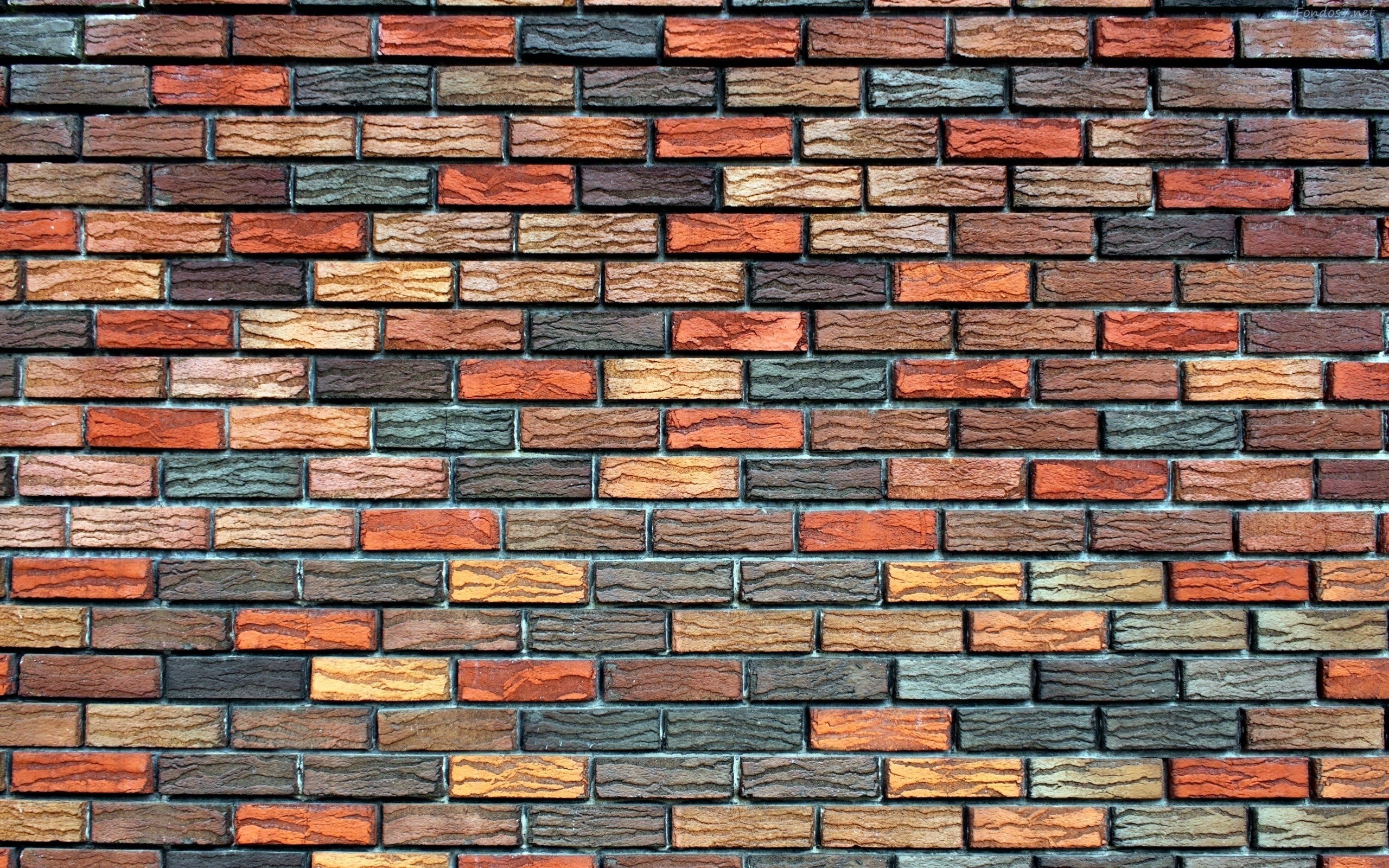 artistic, full frame, backgrounds, pattern, no people, abundance