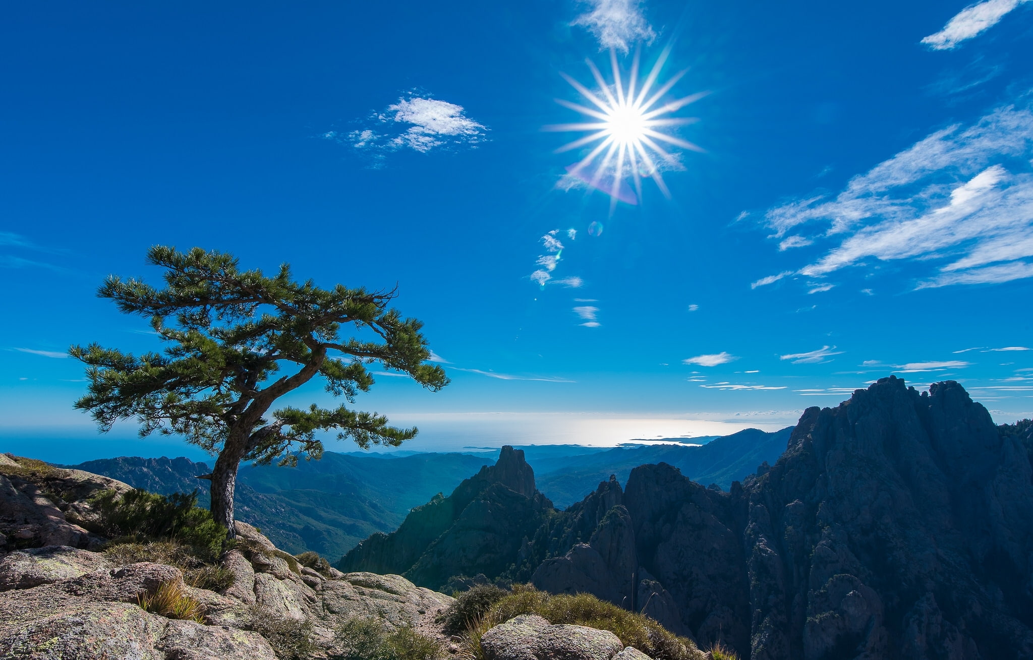 the sky, the sun, mountains, tree, France, Corsica, Needles of Bavella
