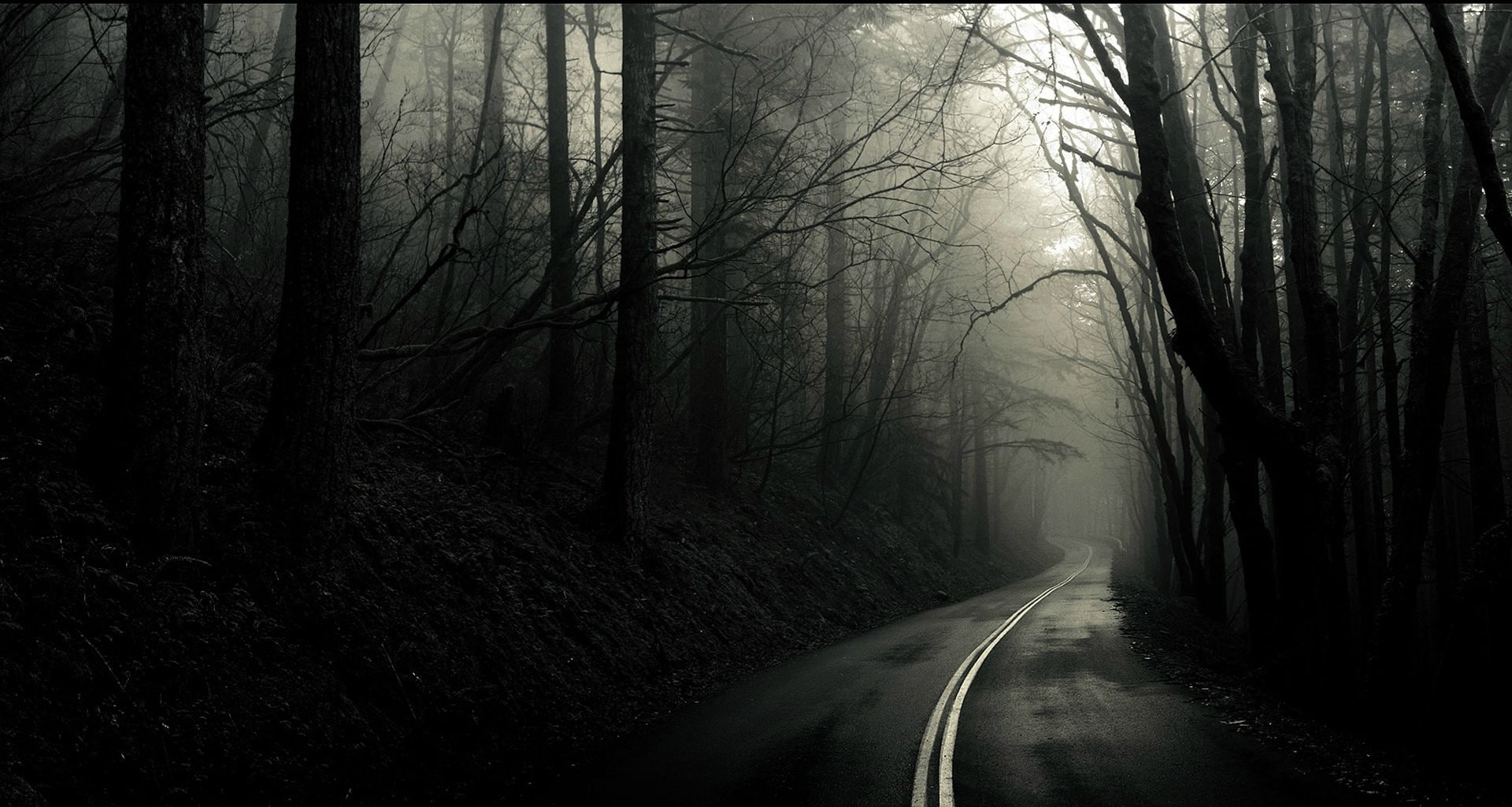 forest, road, monochrome, dark, trees
