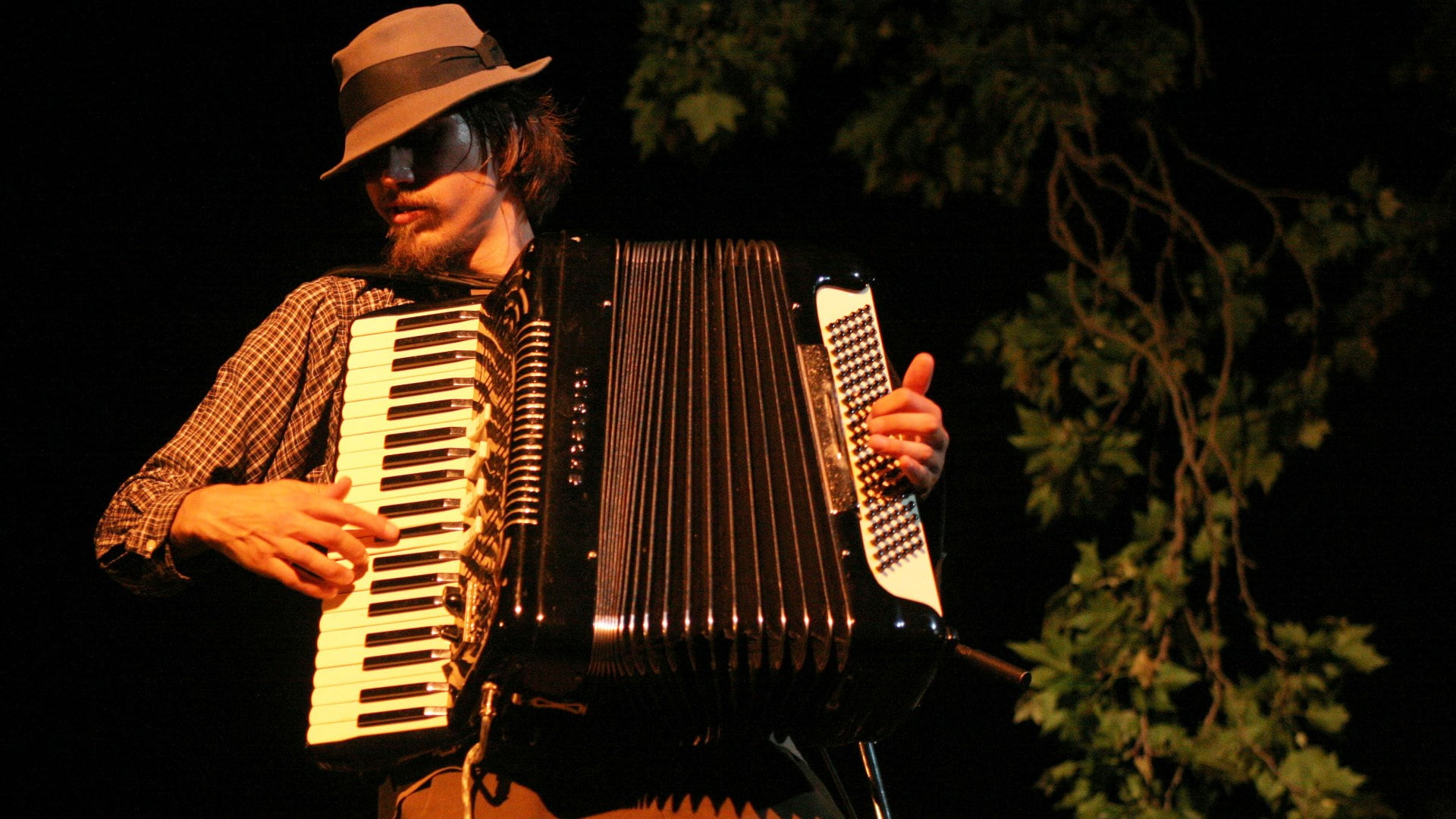 jason webley, music, musical instrument, accordion, artist