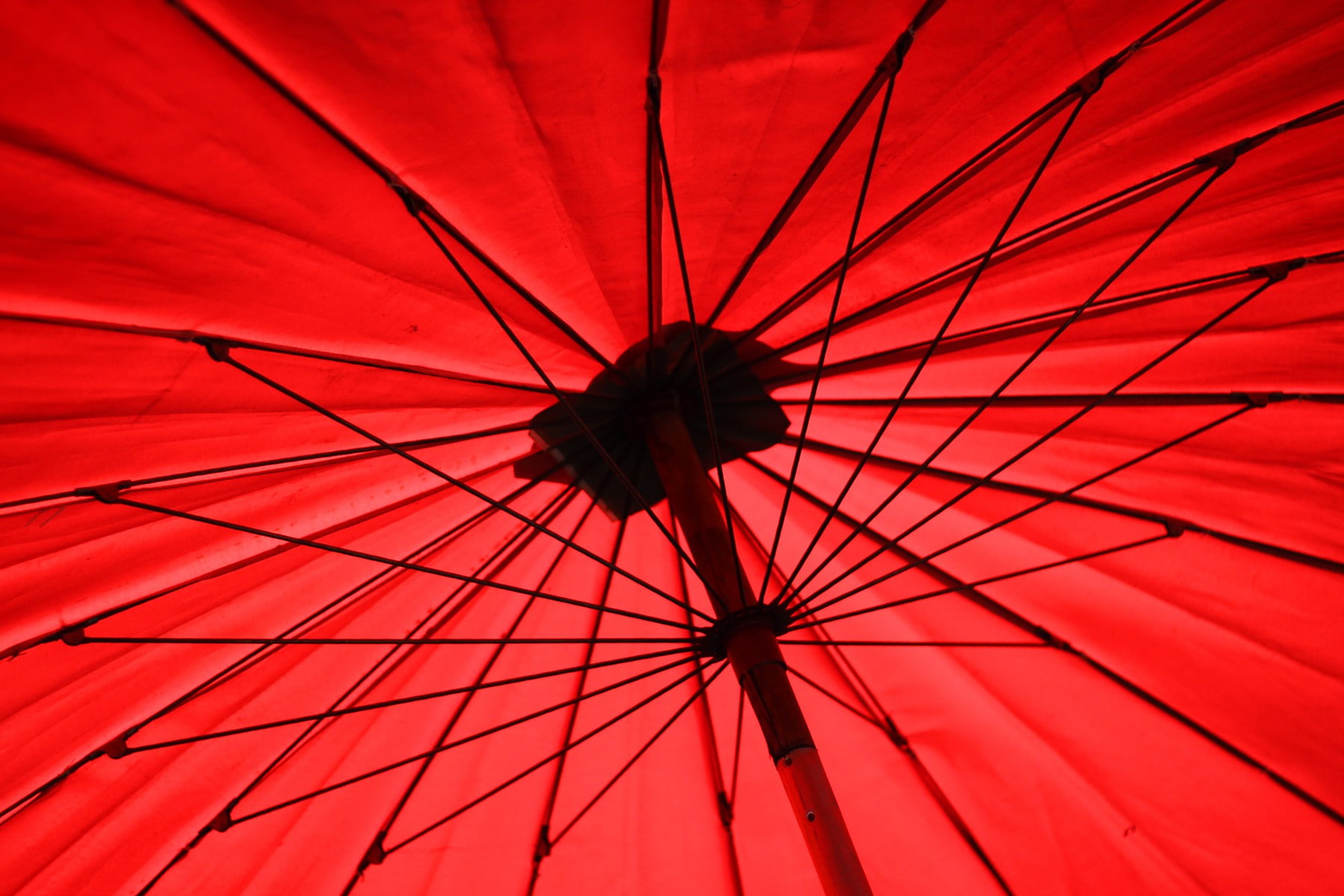 umbrella, colorful, photography, red, low angle view, protection
