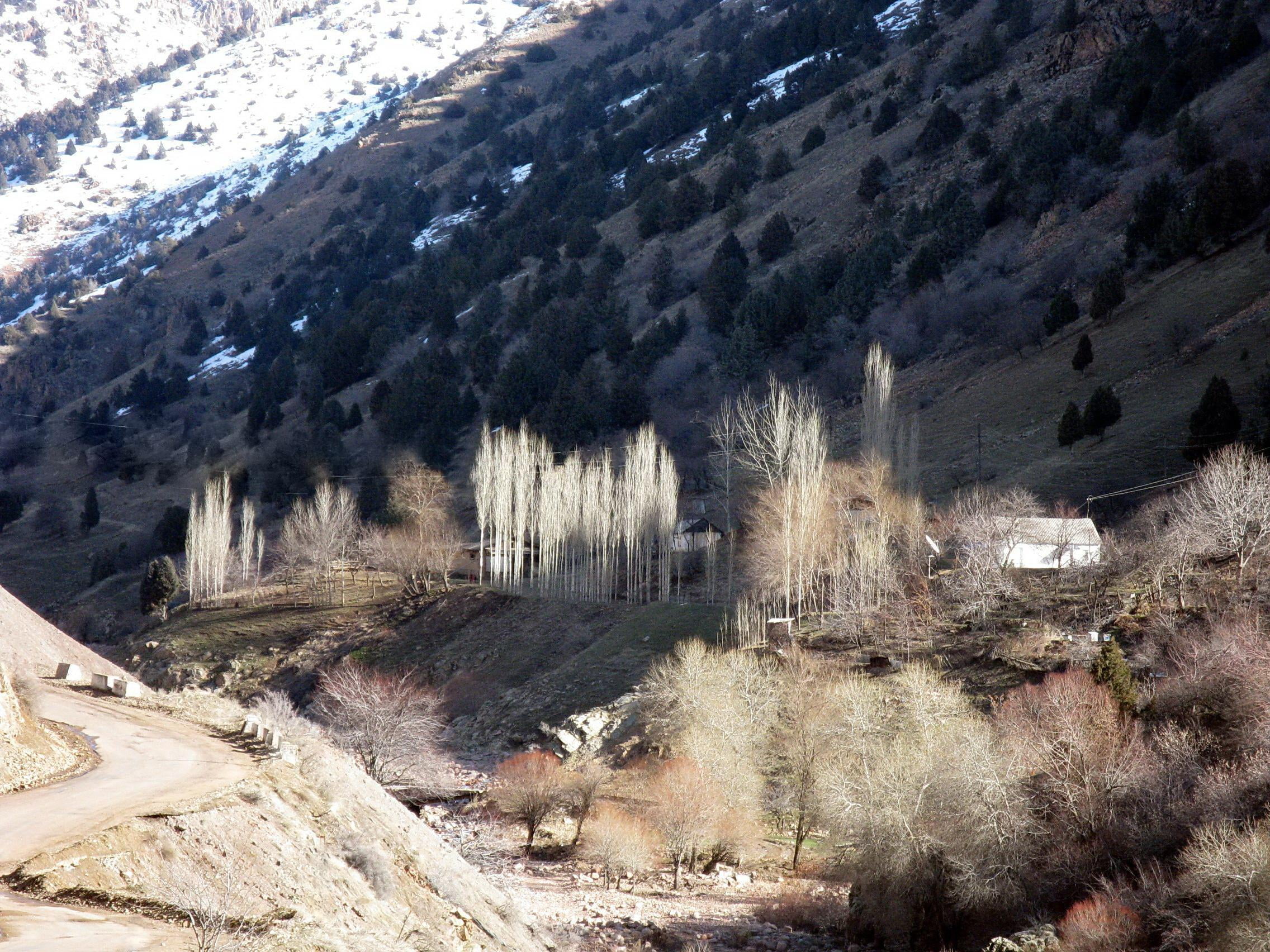 snow, mountains, houses, sun glare, riverbed, plant, tree, beauty in nature
