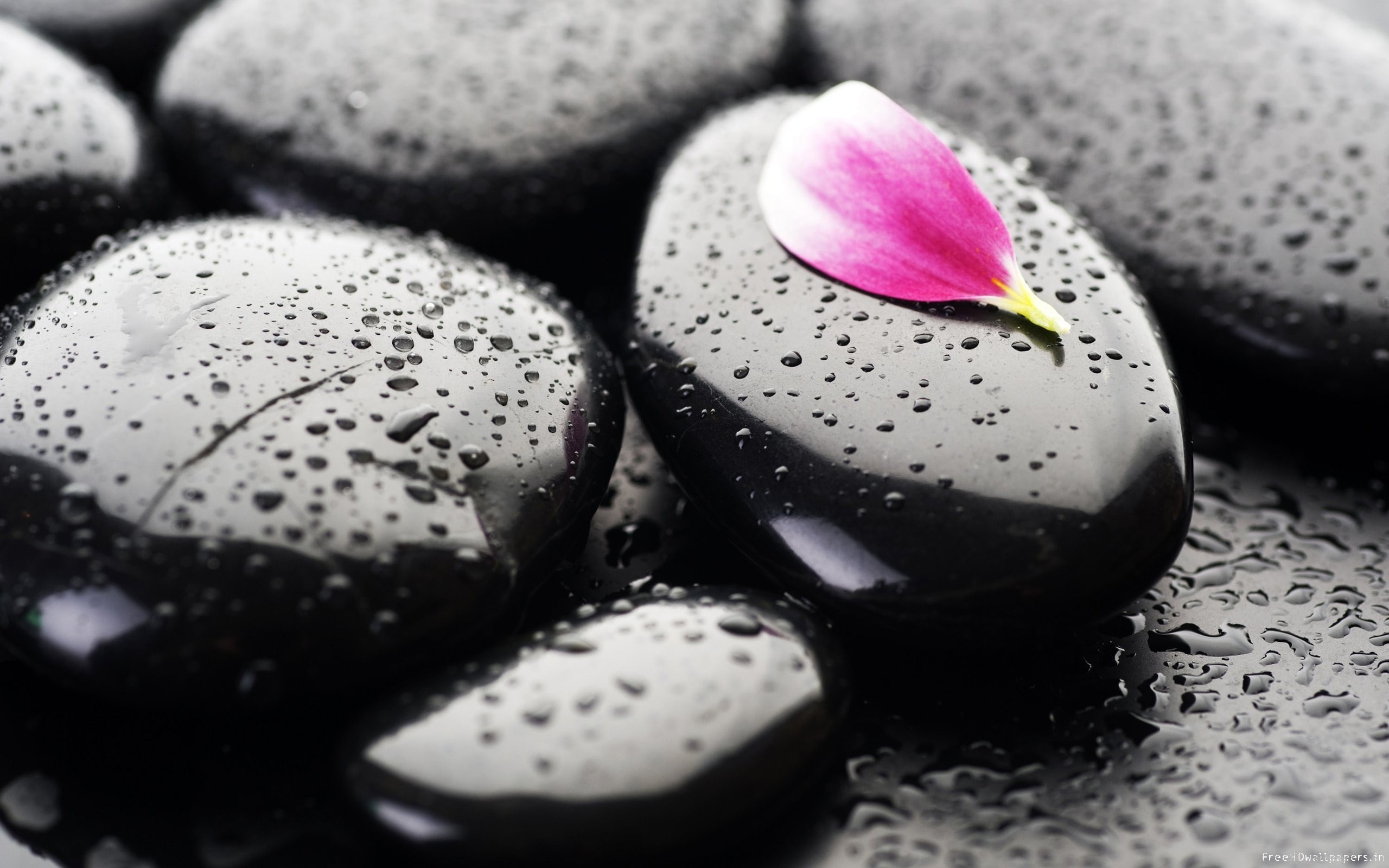 zen