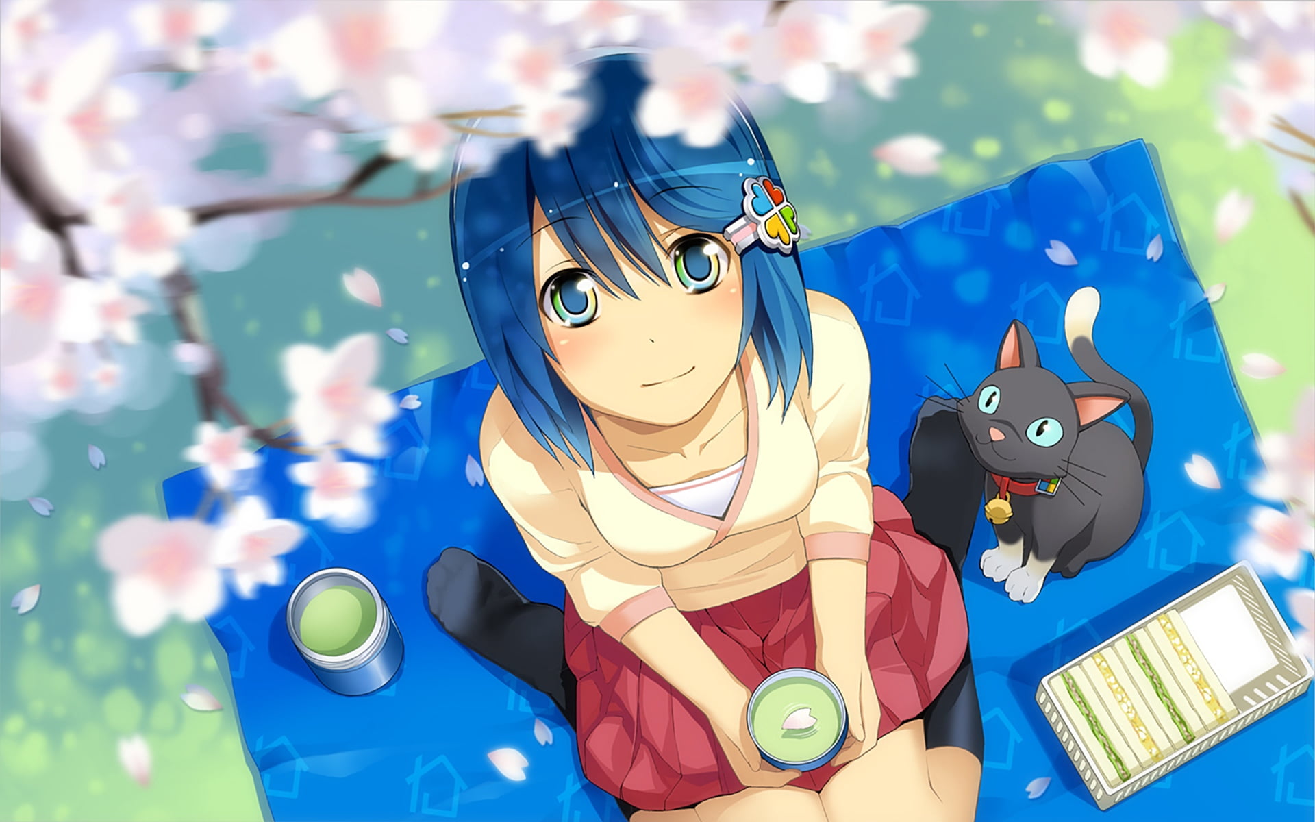 female anime character wallpaper, girl, cat, park, spring, blue