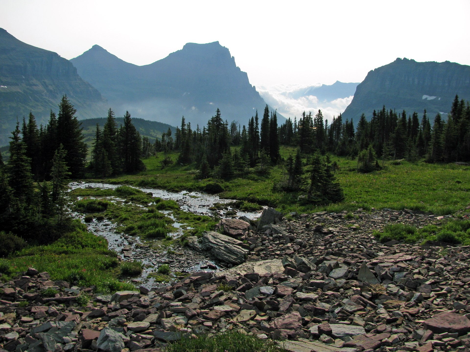 Mountains, Forest, Stream