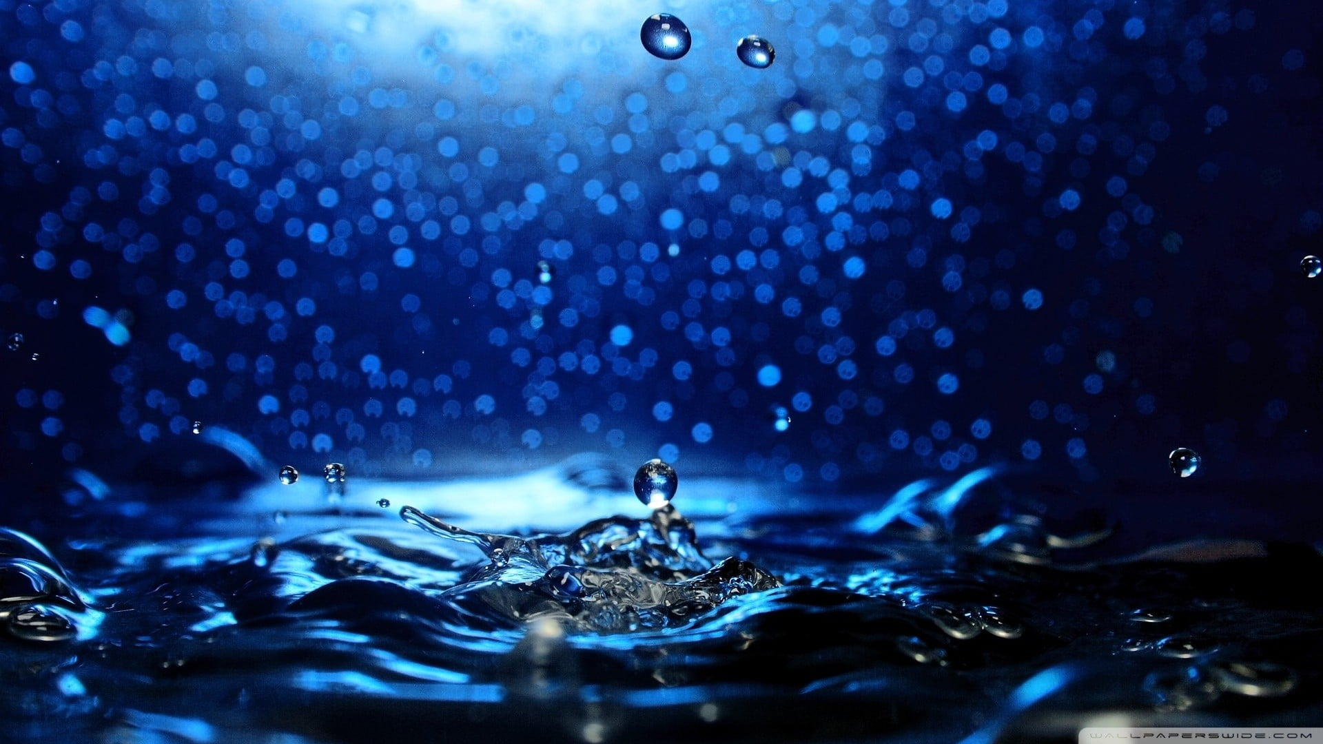 water droplet, nature, liquid, water drops, blue, blue background