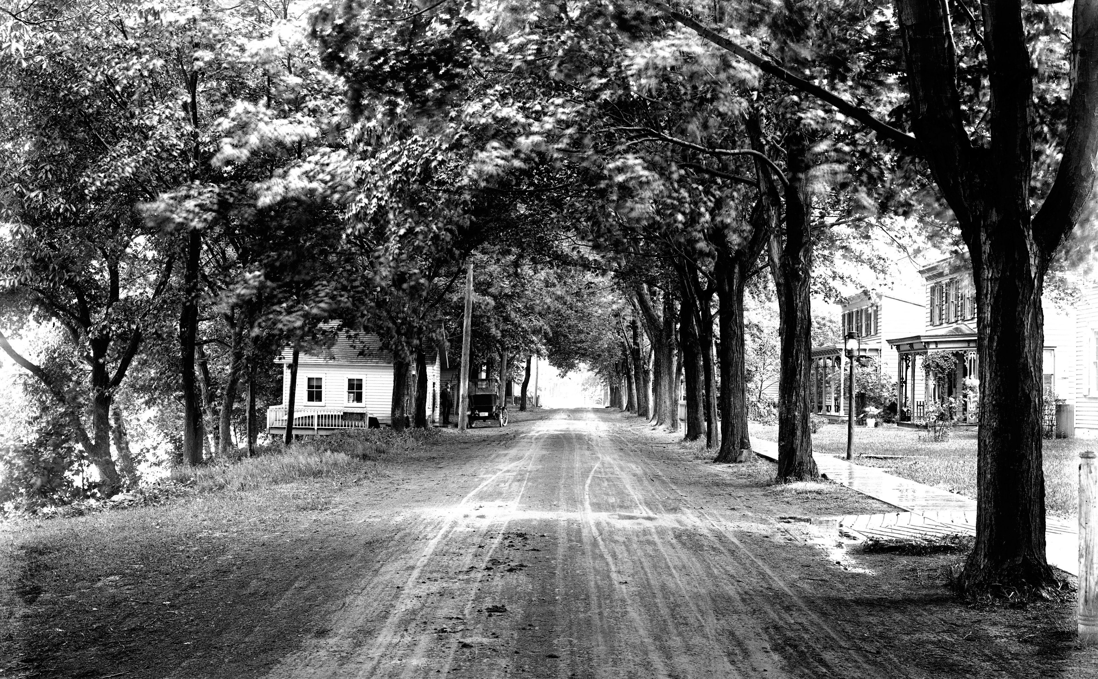 5 Street, Titusville, Nj 1912 Old Photography, gray scale photo of trees