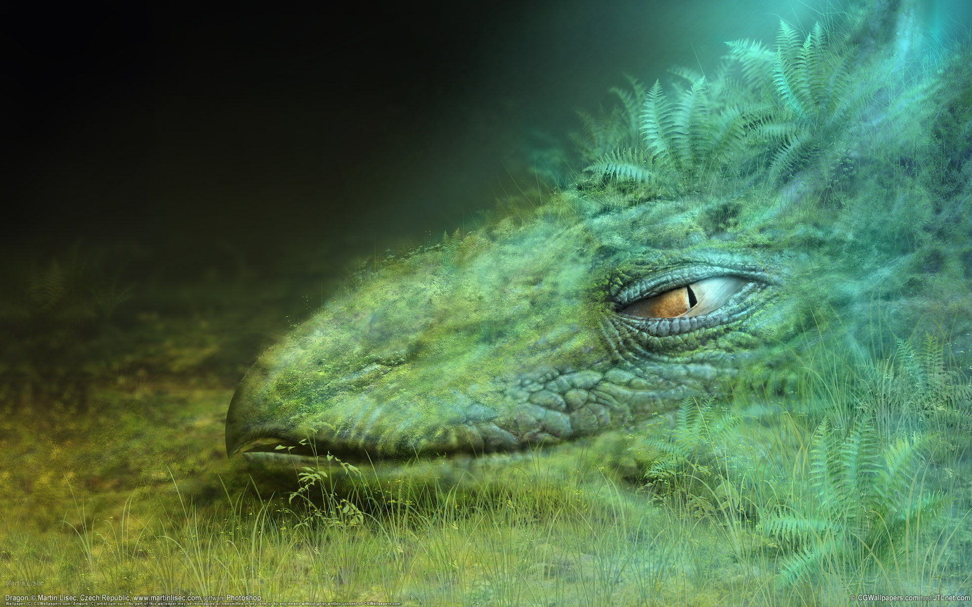 Fantasy, Creature