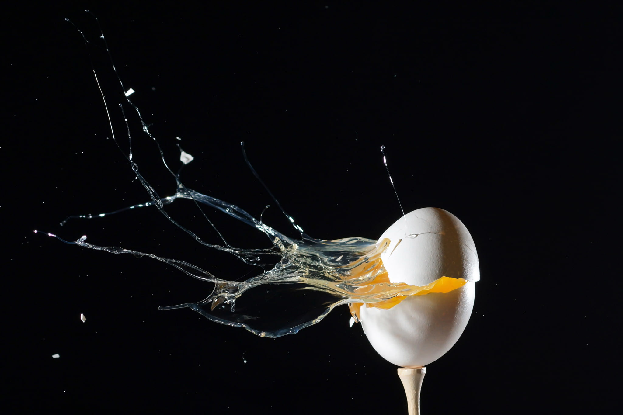 squirt, egg, shell, split