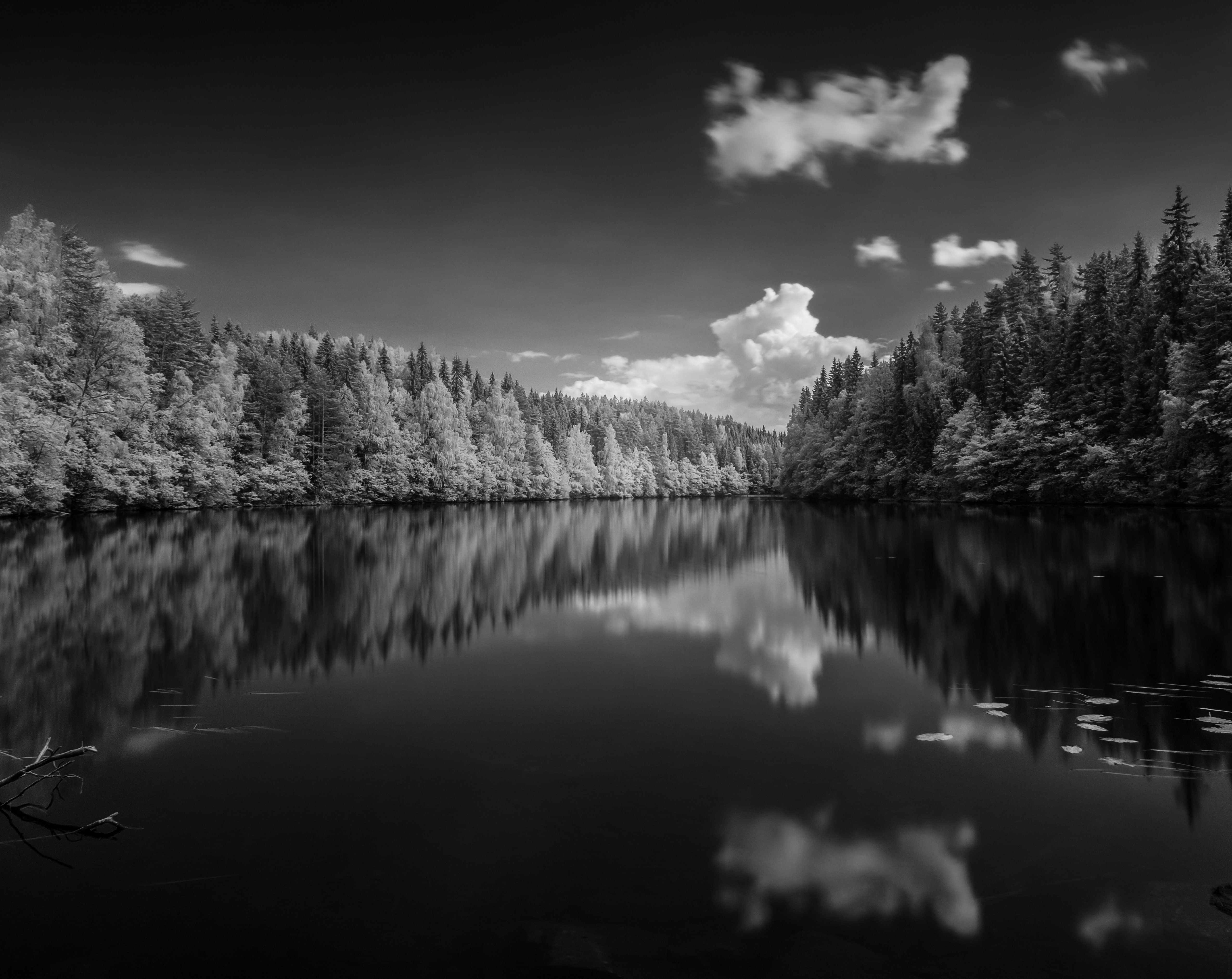 Finland Forest Lake Black and White, Landscape, Pond, Zoom, infrared