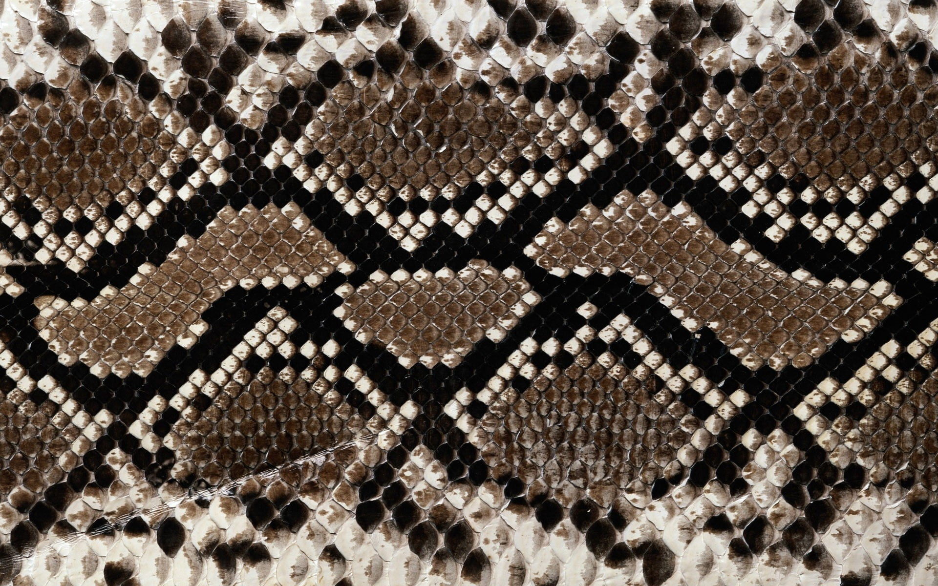 black and brown snakeskin textile, background, texture, line