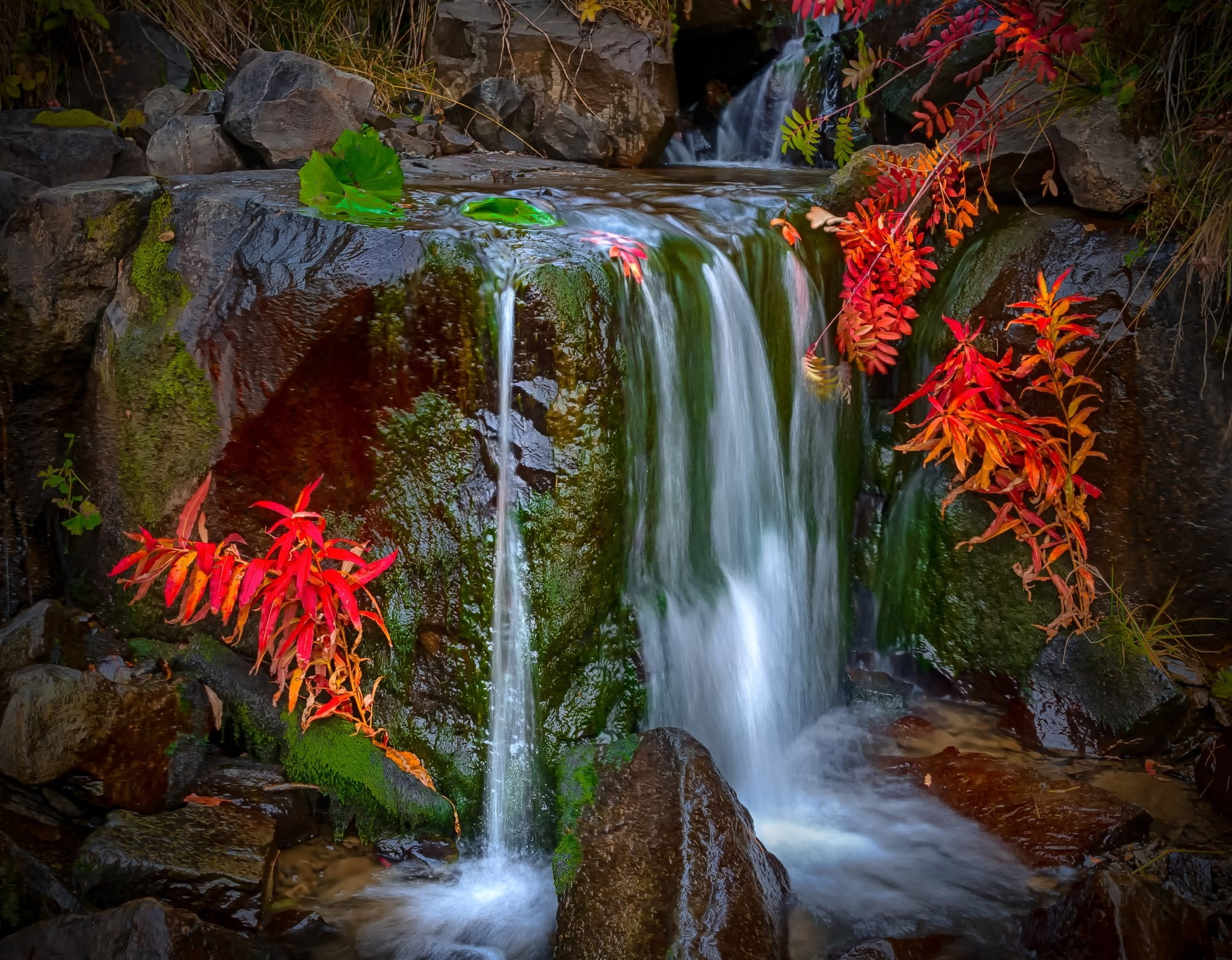 clear waterfalls, nature, colorful, leaves, moss, red, landscape
