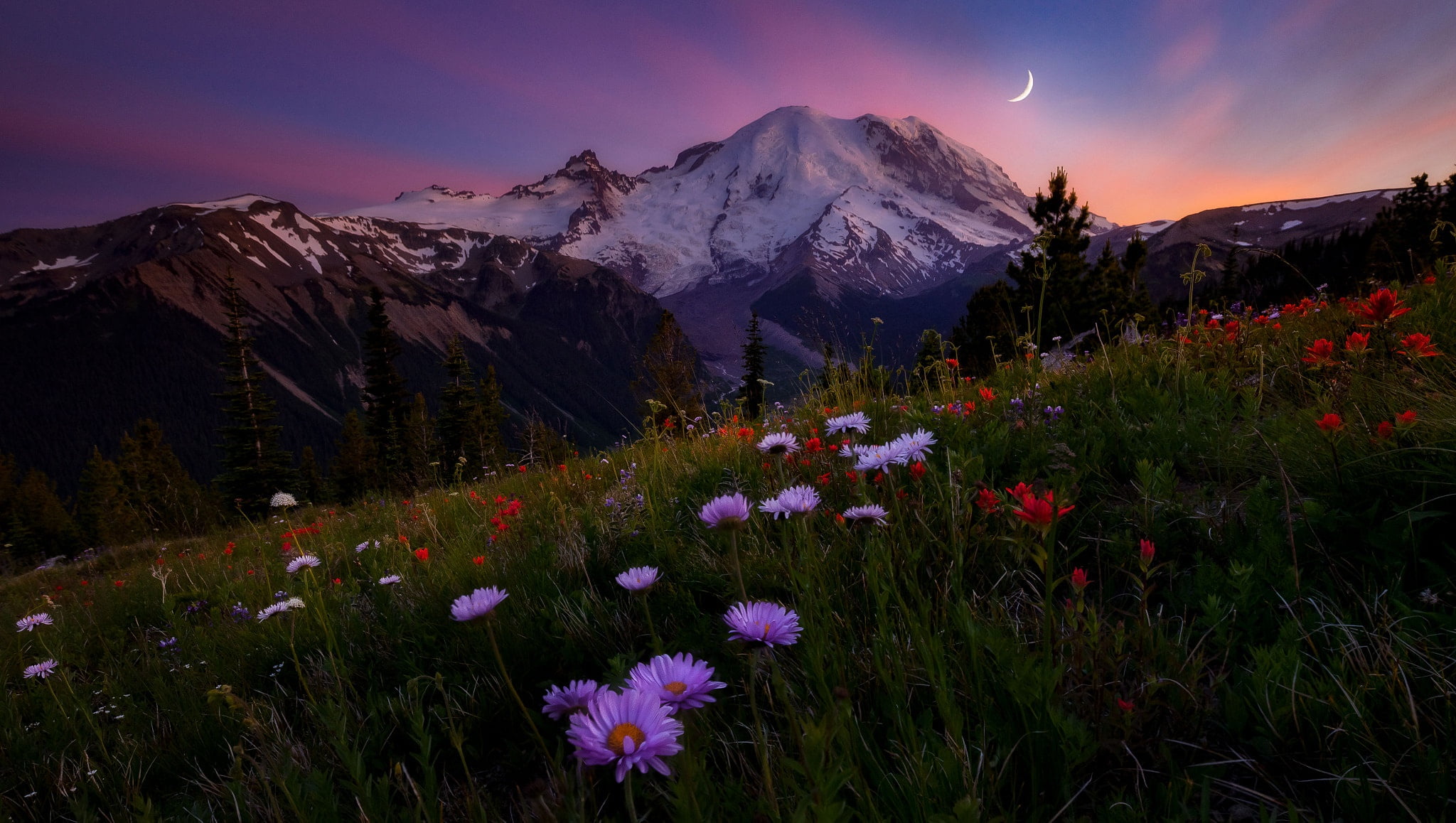 the sky, flowers, mountains, the evening, meadow, Doug Shearer