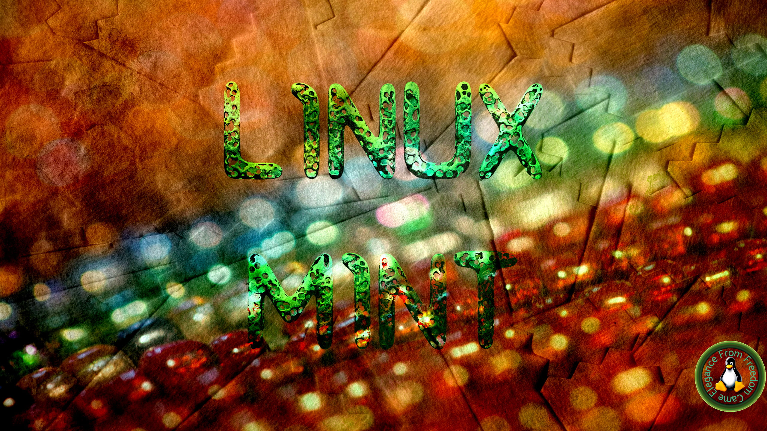 Linux Mint, technology, computer