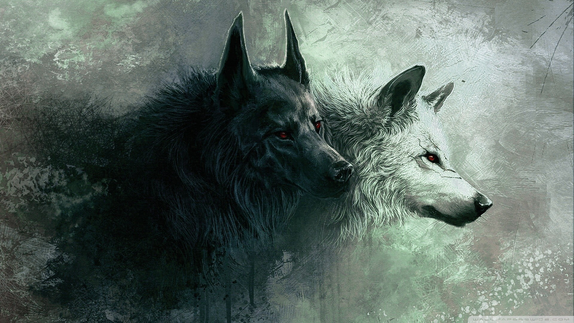 two white and black wolves digital wallpaper, wolf, animals, animal themes