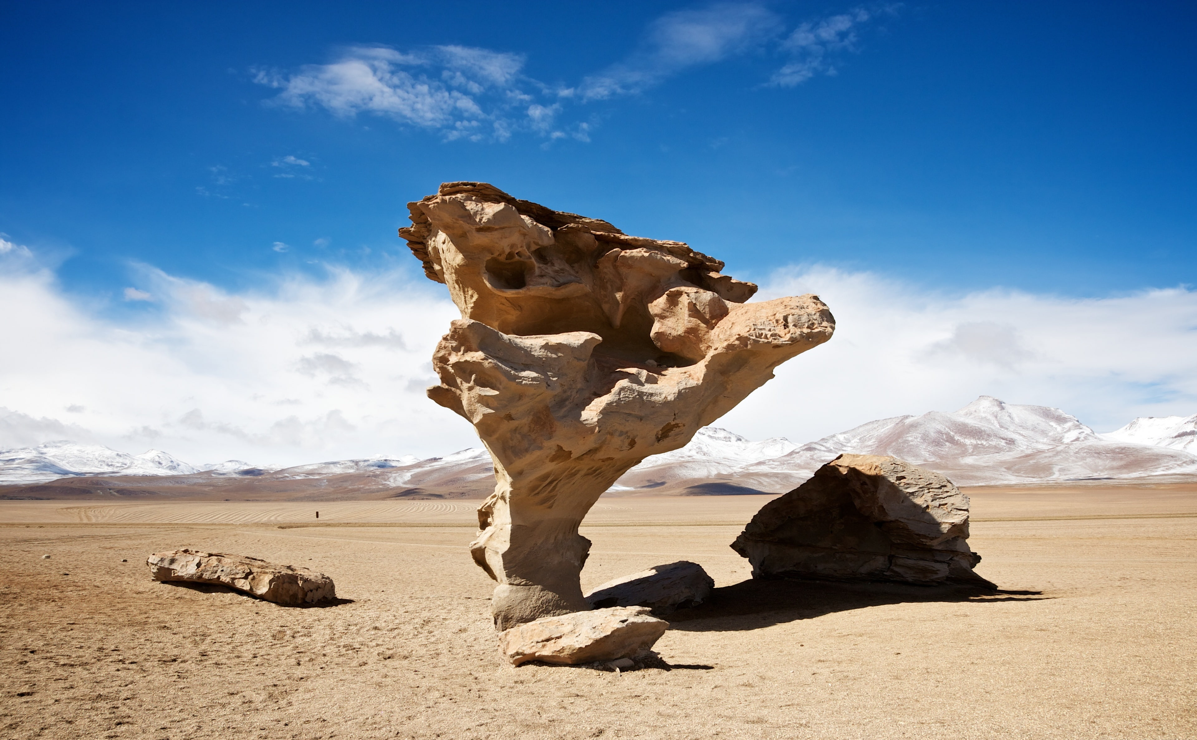 Arbol De Piedra, South America, Bolivia, Rock, Tree, Stone, norlipez