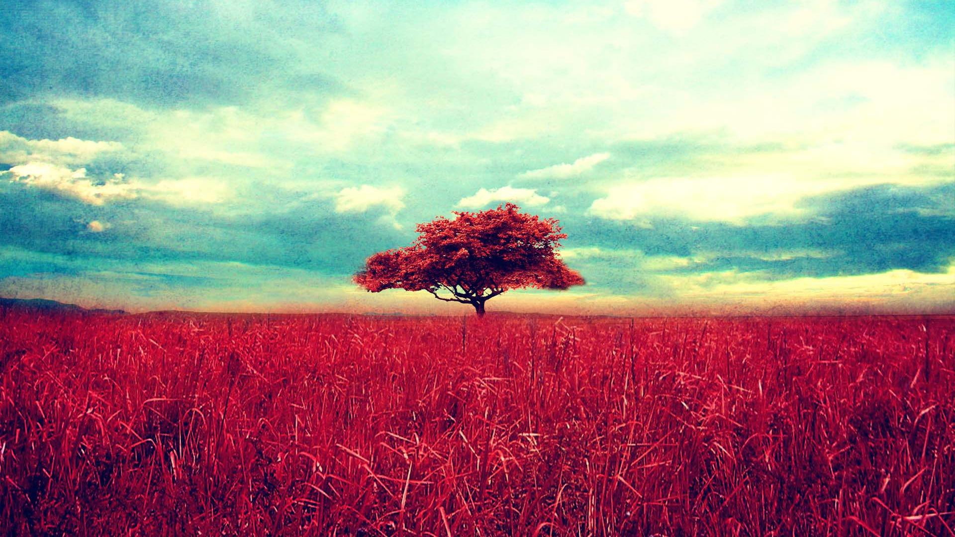 Vintage Scene, cool, alone, beautiful, pink tree, stunning, clear