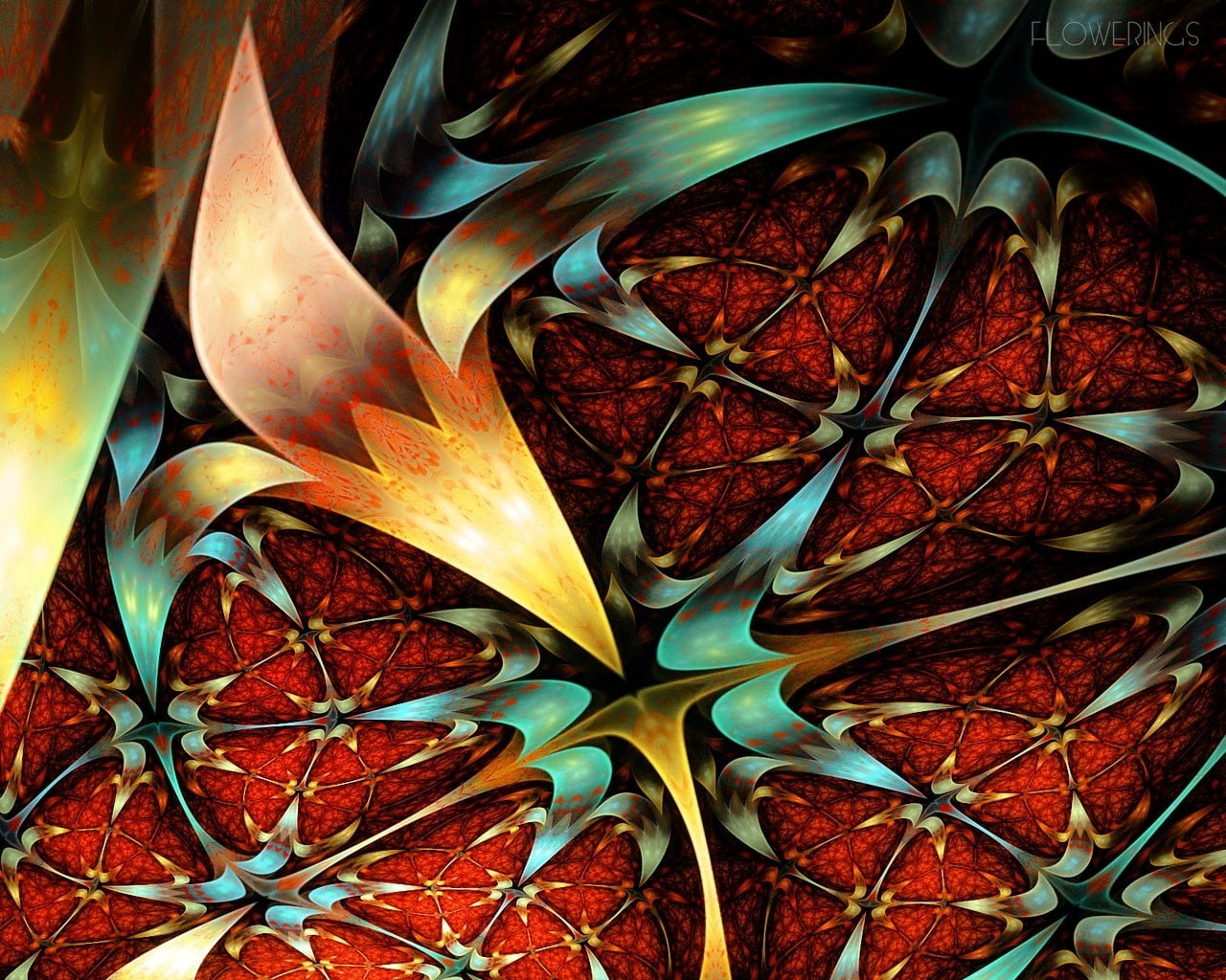 Fractal, Flowering, Pattern, Patterns, Kaleidoscope, leaf, plant part