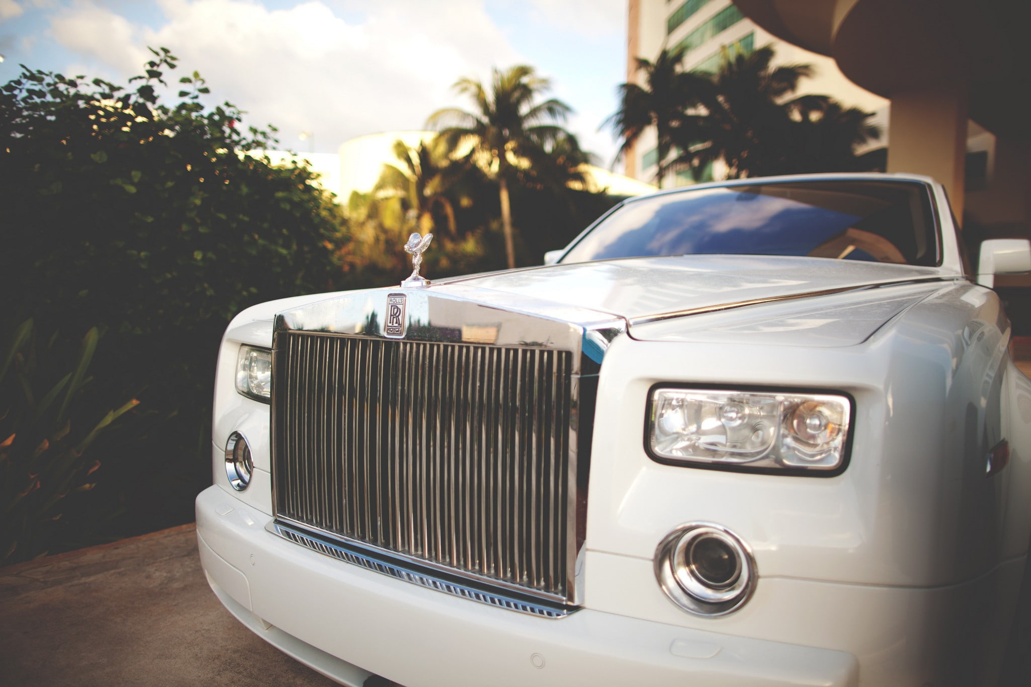 Rolls royce Phantom, white car, luxury, exotic, palm, front