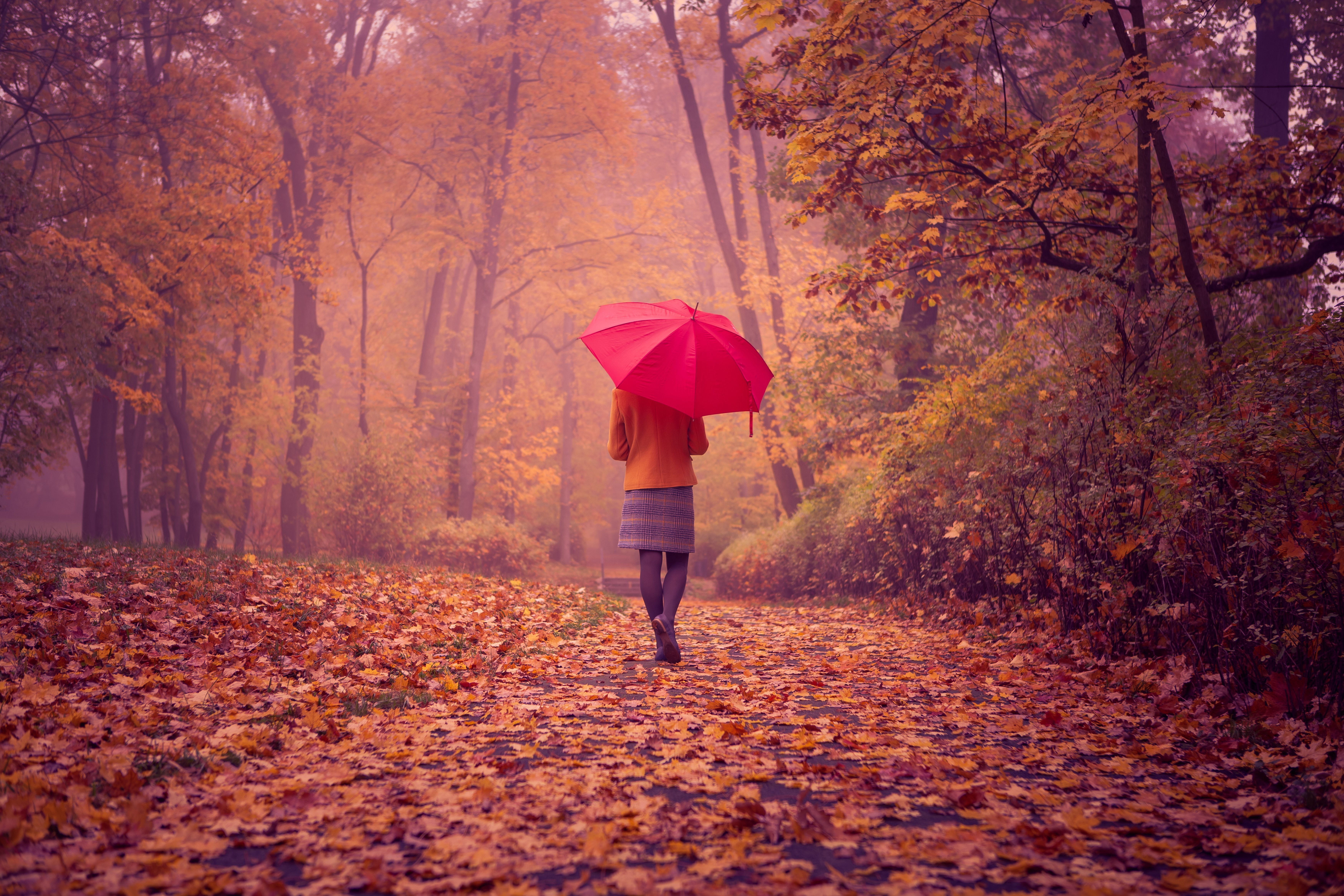 red umbrella, road, autumn, girl, landscape, foliage, back, rain