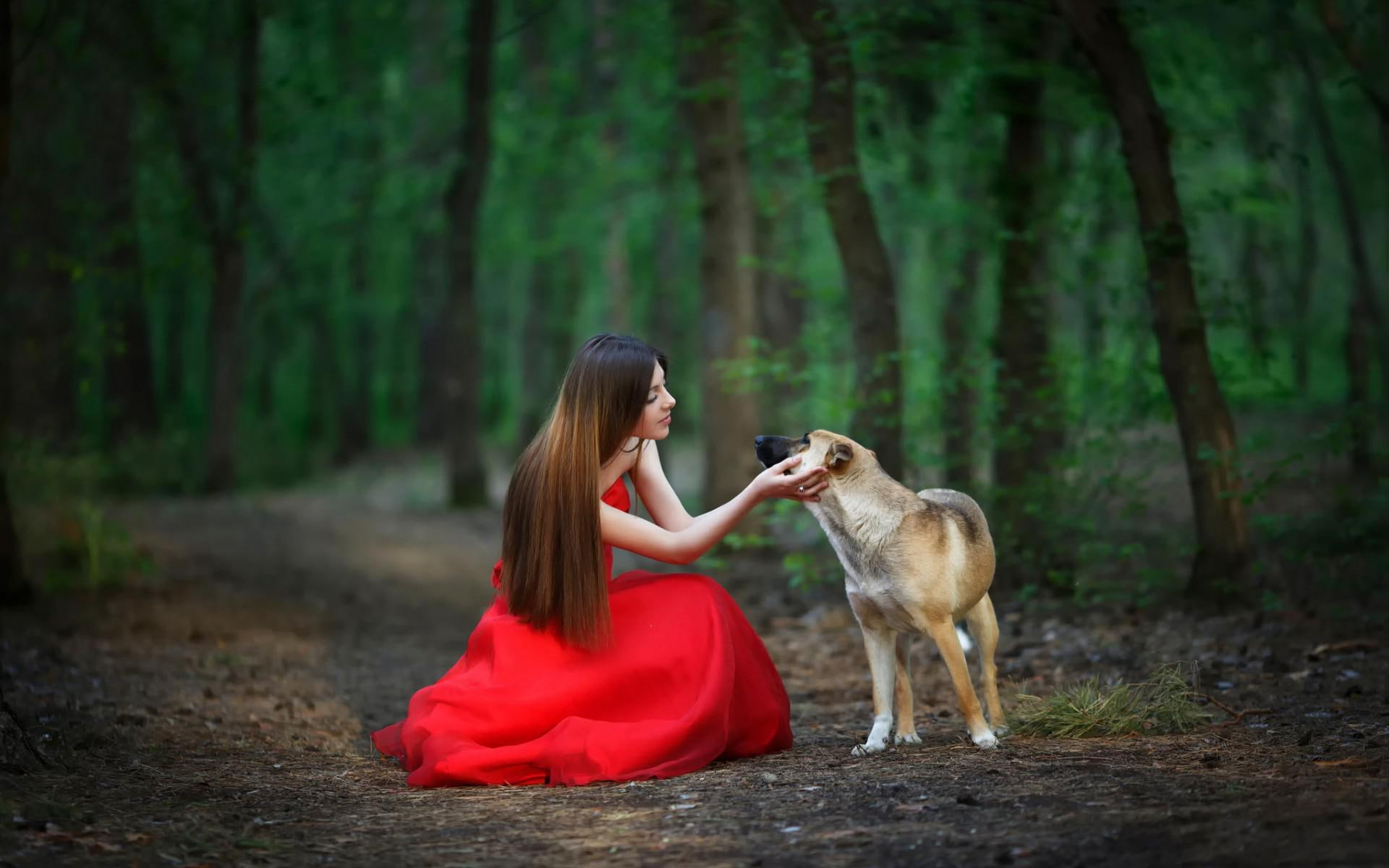 Red dress, forest, girl, dog, scenery
