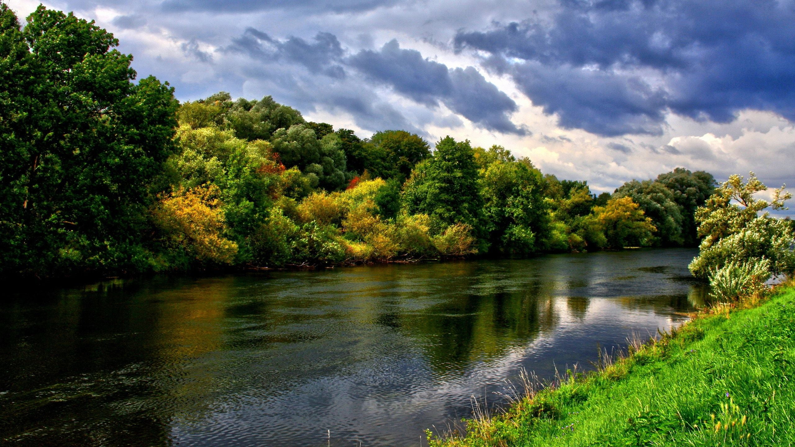 body of water and green leafed trees, river, forest, nature, landscape