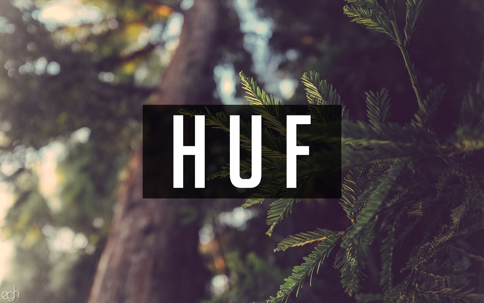 forest, huf, nature, writing