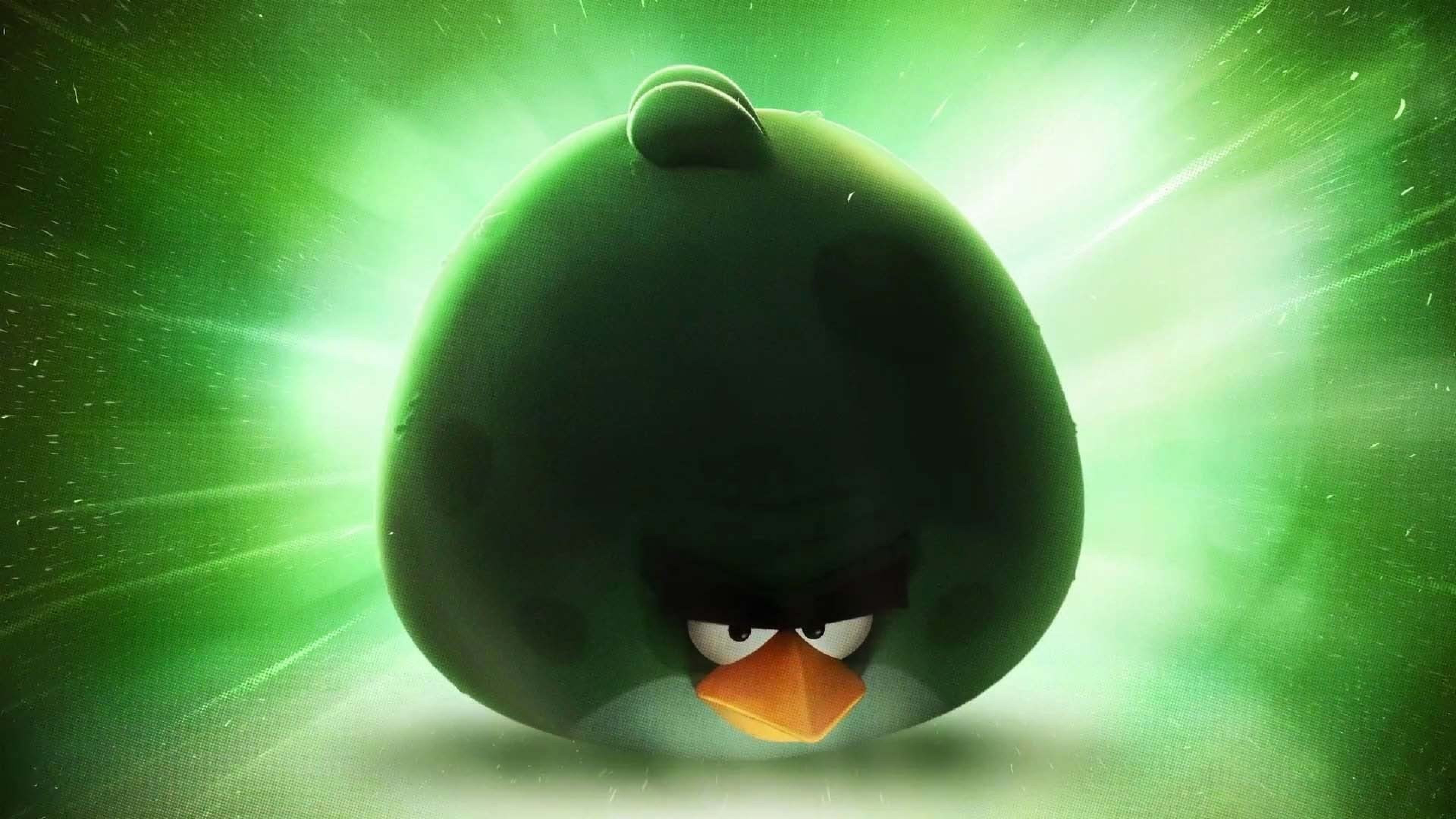 angry birds 4k  background desktop computer