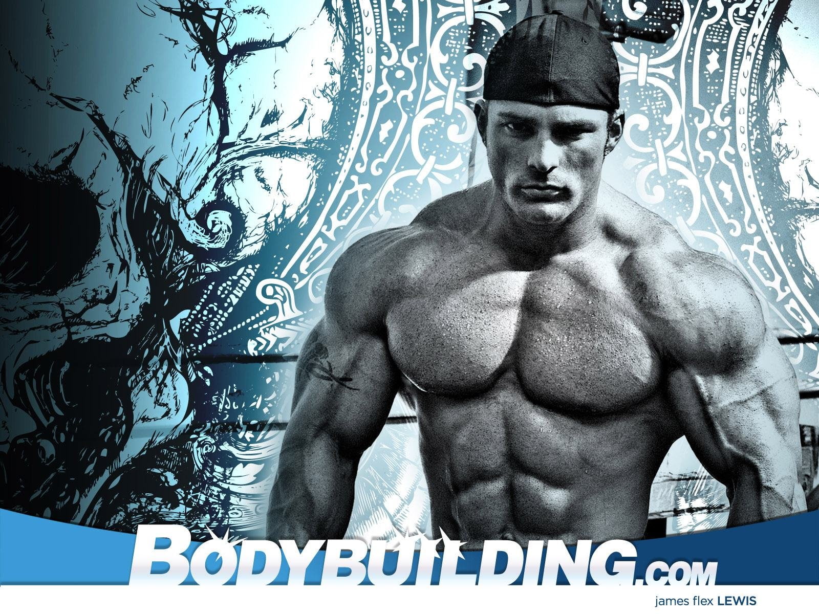 body building, bodybuilding, fitness, lifting, muscle, muscles