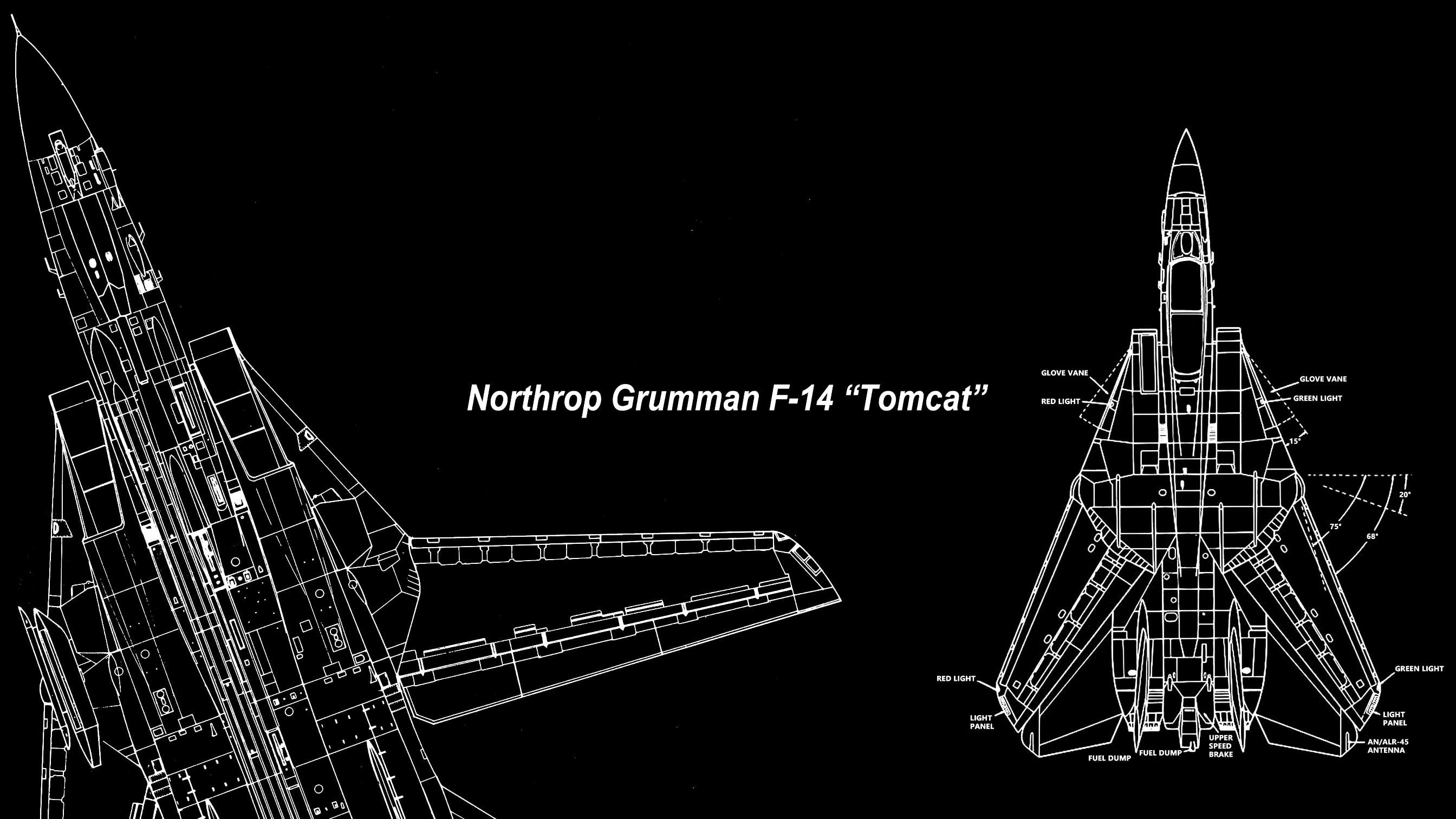 F-14 Tomcat, Grumman F-14 Tomcat, jet fighter, navy, United States Navy