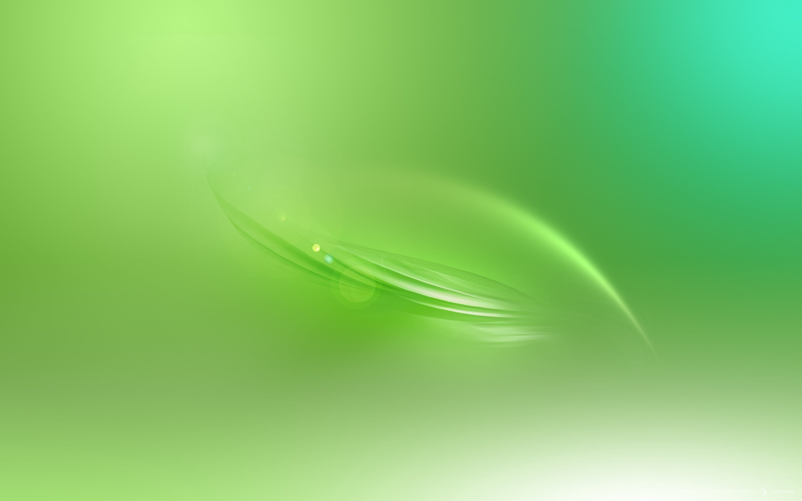 green leaf, line, oval, light, abstract, backgrounds, curve, shiny