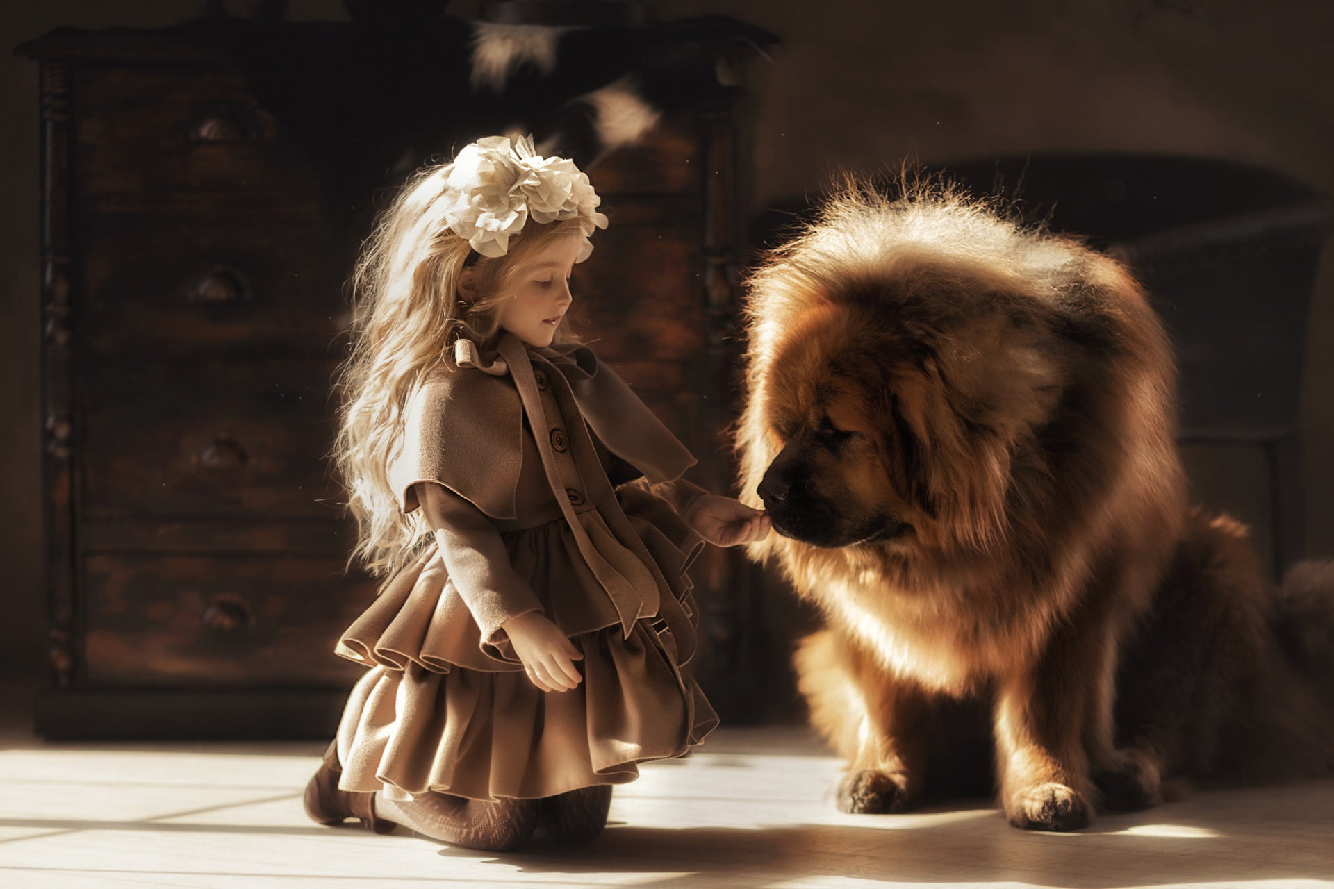 dog, girl, friends, Tibetan Mastiff, Valeriya Mytnik, a great friend