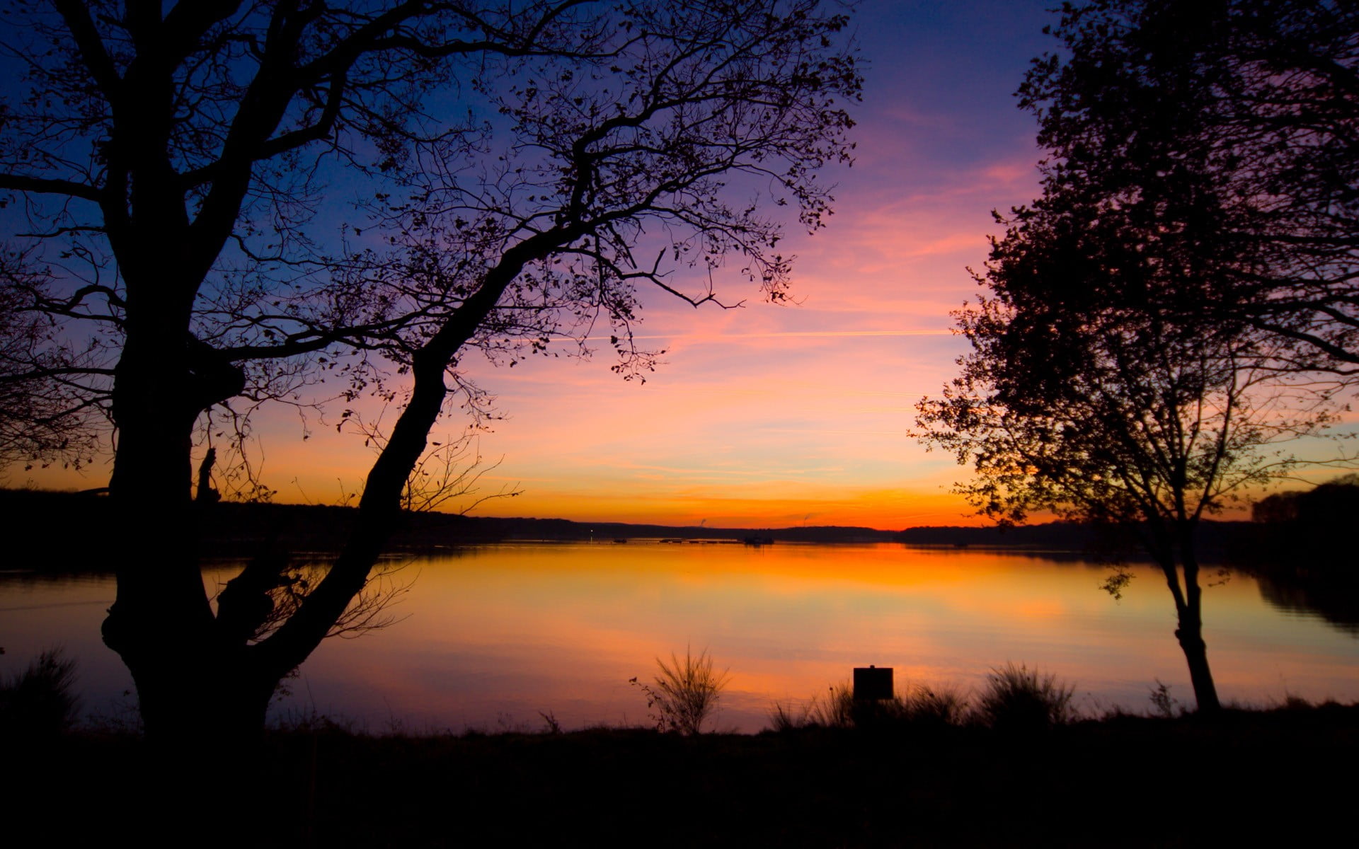 landscape, sunset, dusk, lake, trees, purple sky, silhouette