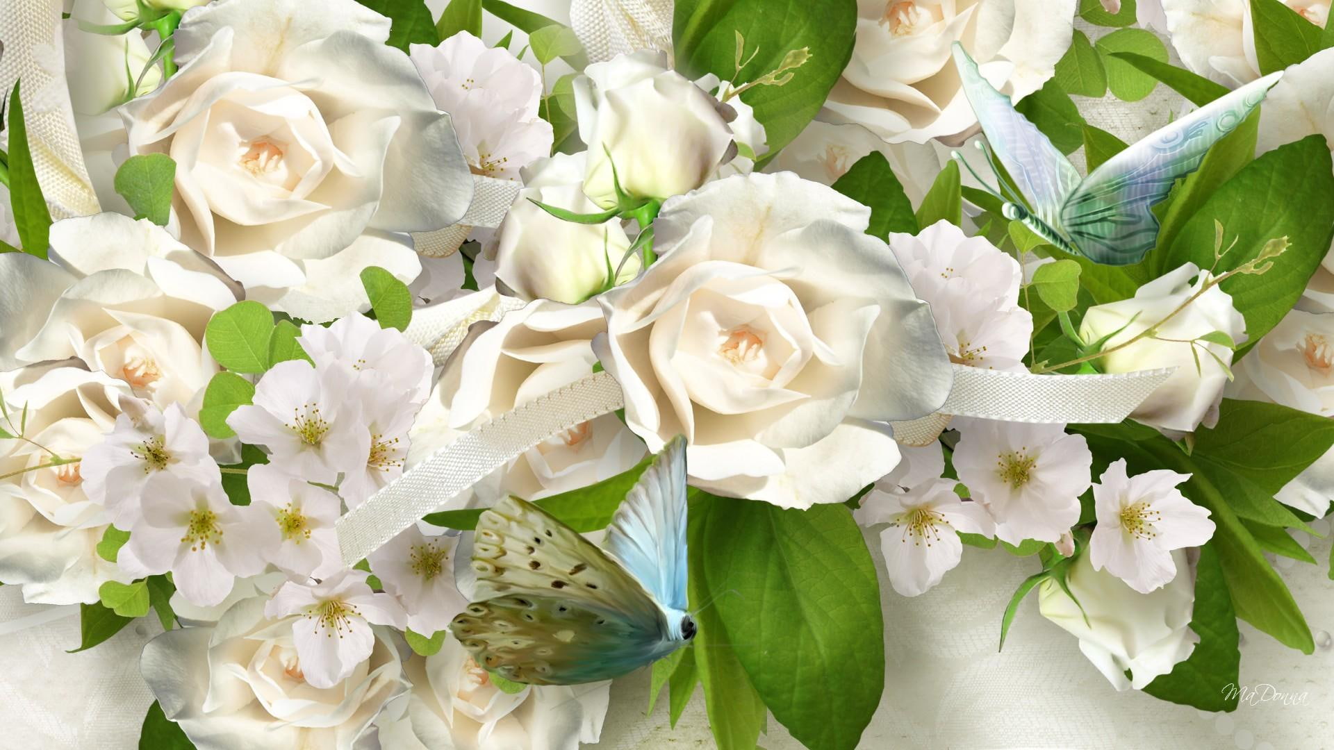 White Roses Butterflies, regal, ribbon, flowers, wedding, apple blossoms