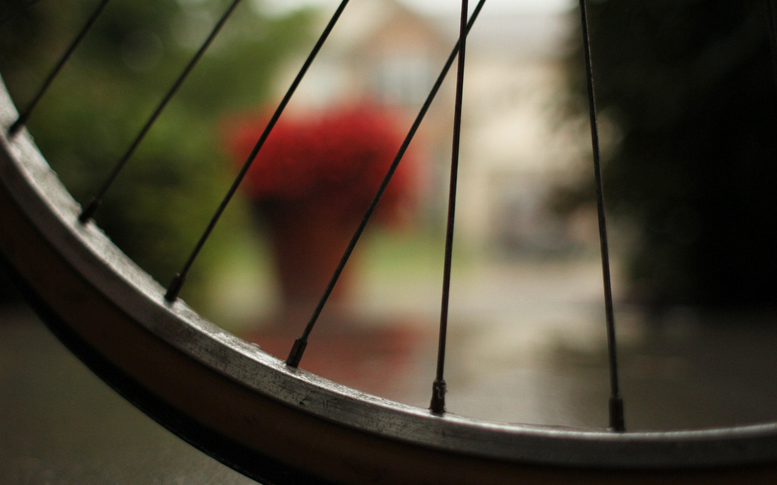 bicycle, rays
